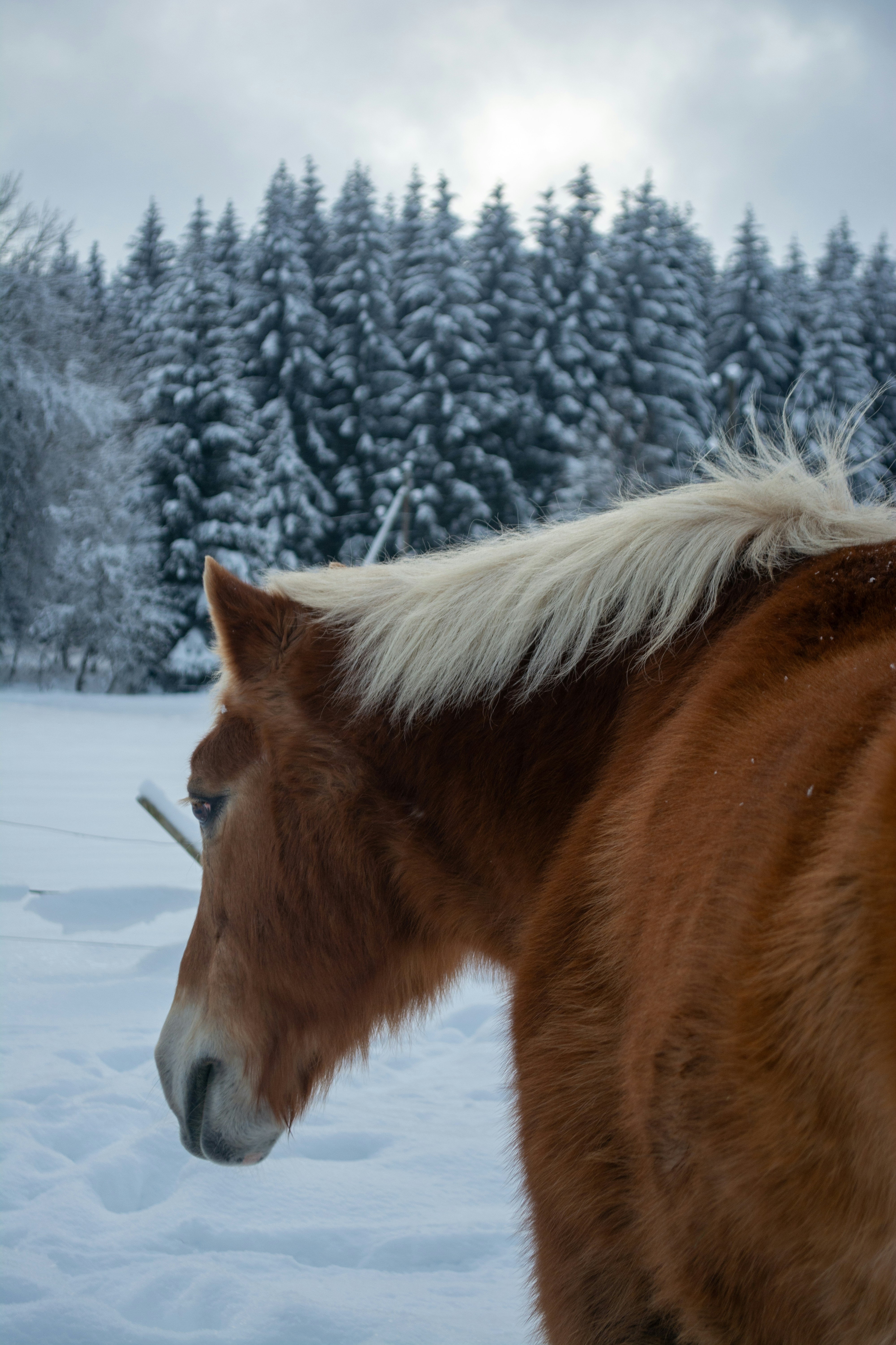 Photo by fabiankleiser