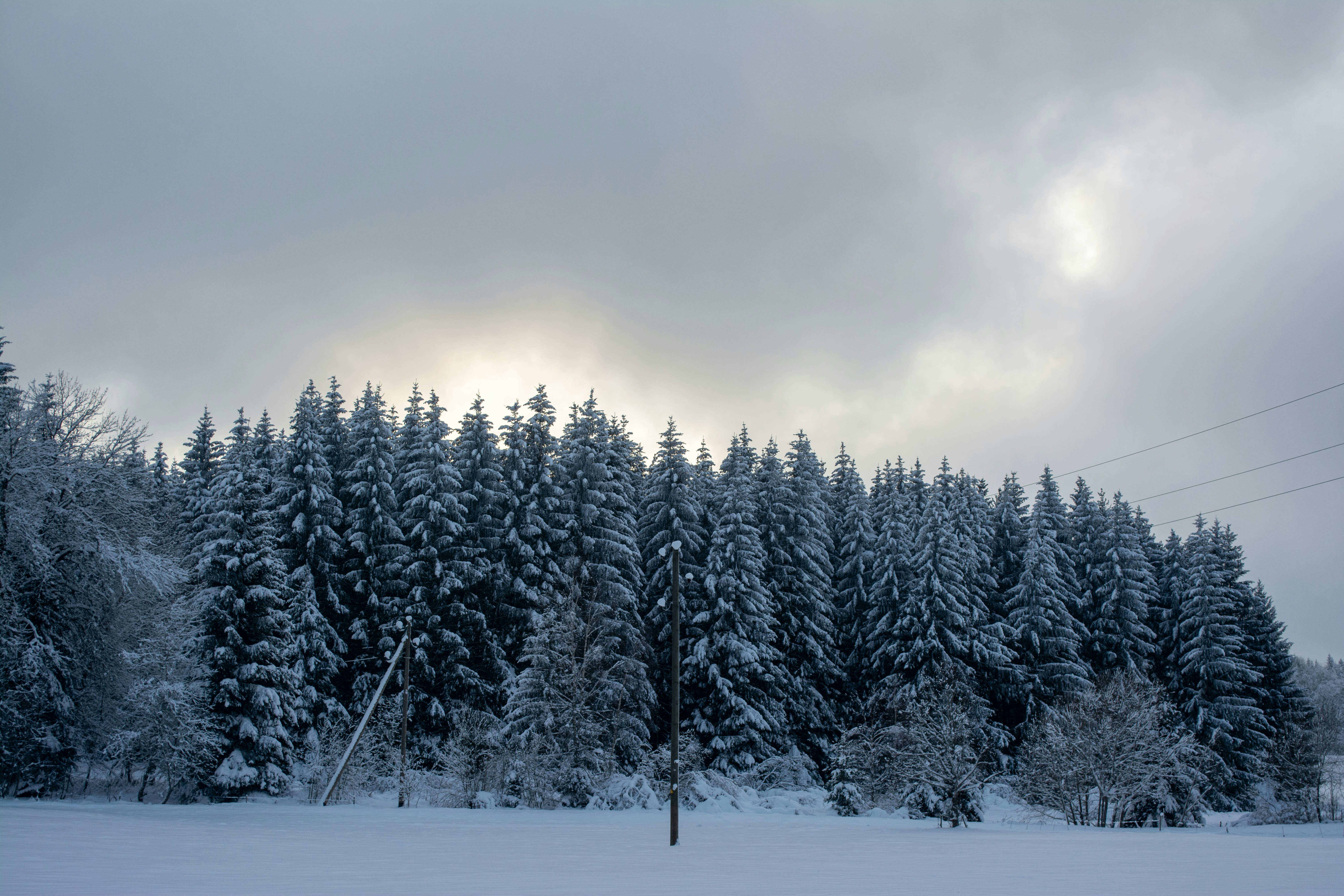 Photo by fabiankleiser