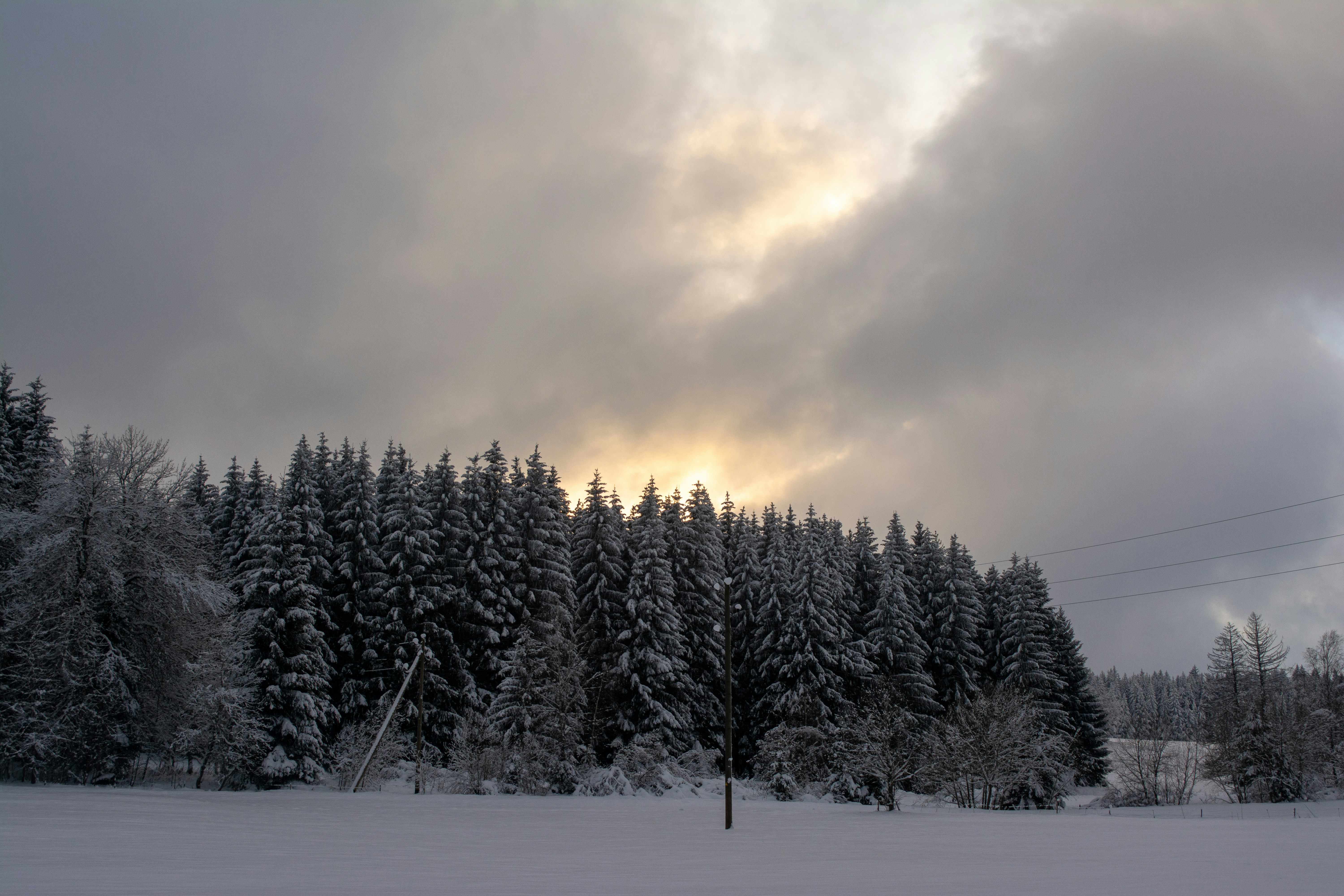 Photo by fabiankleiser