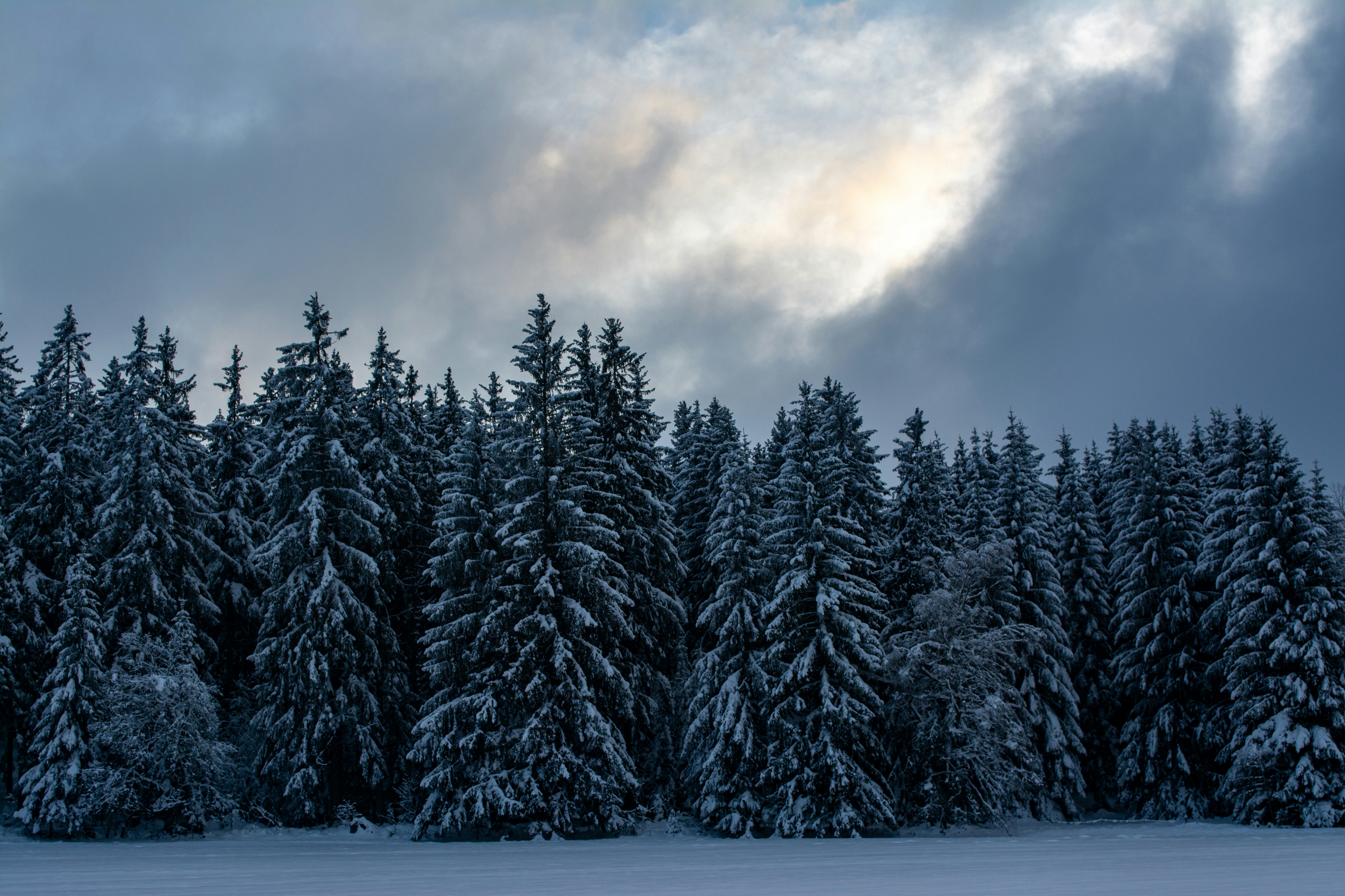 Photo by fabiankleiser