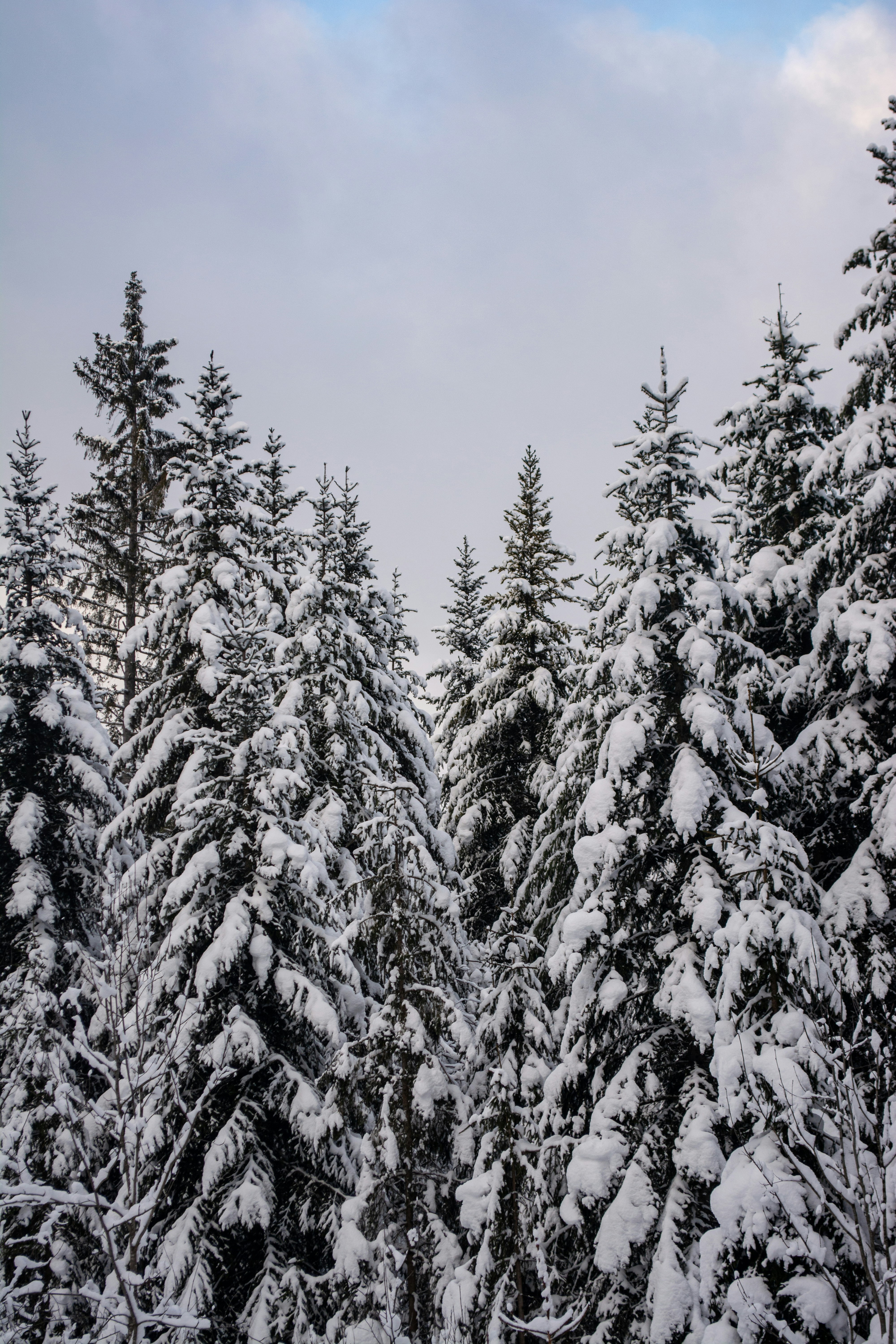 Photo by fabiankleiser