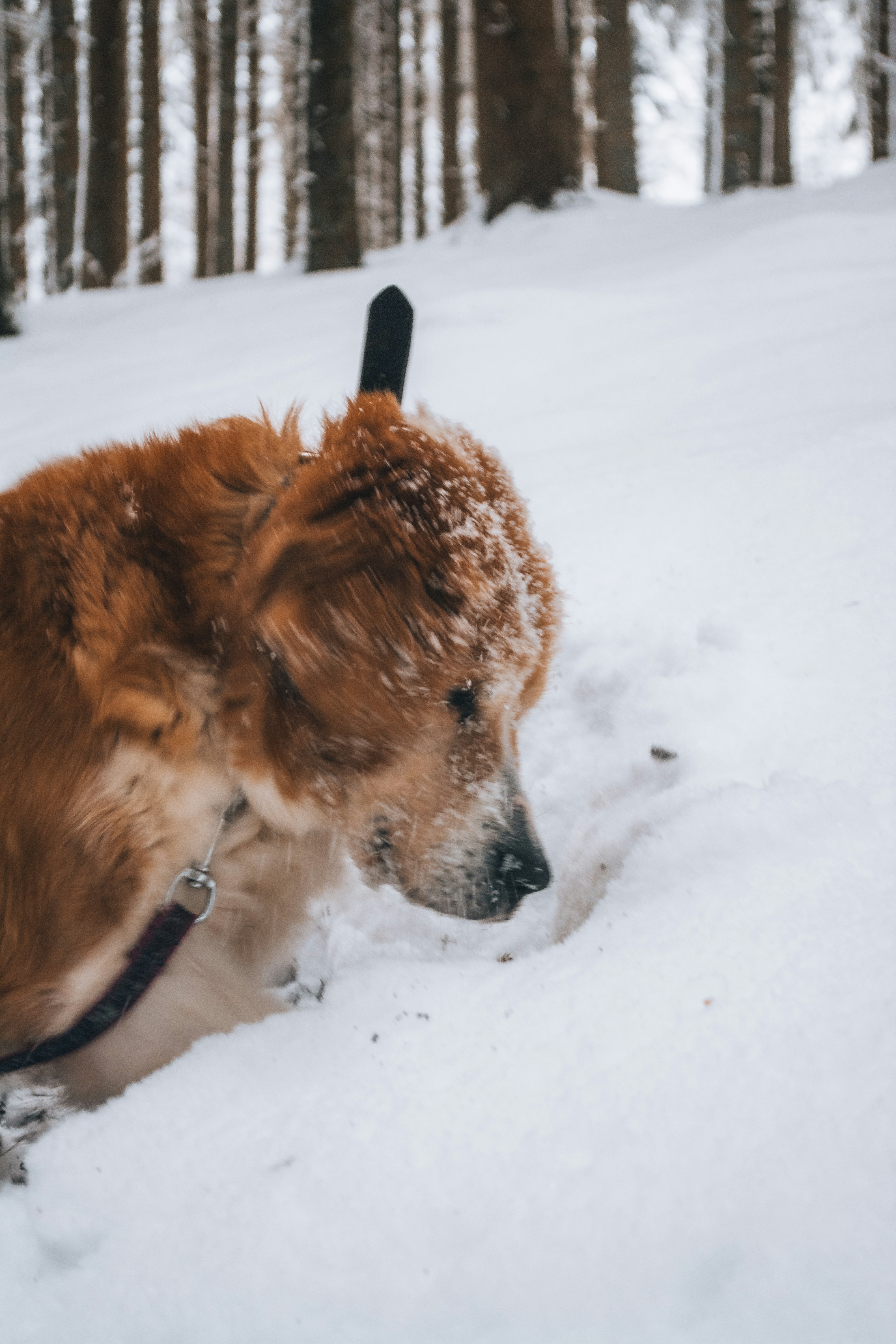 Photo by fabiankleiser