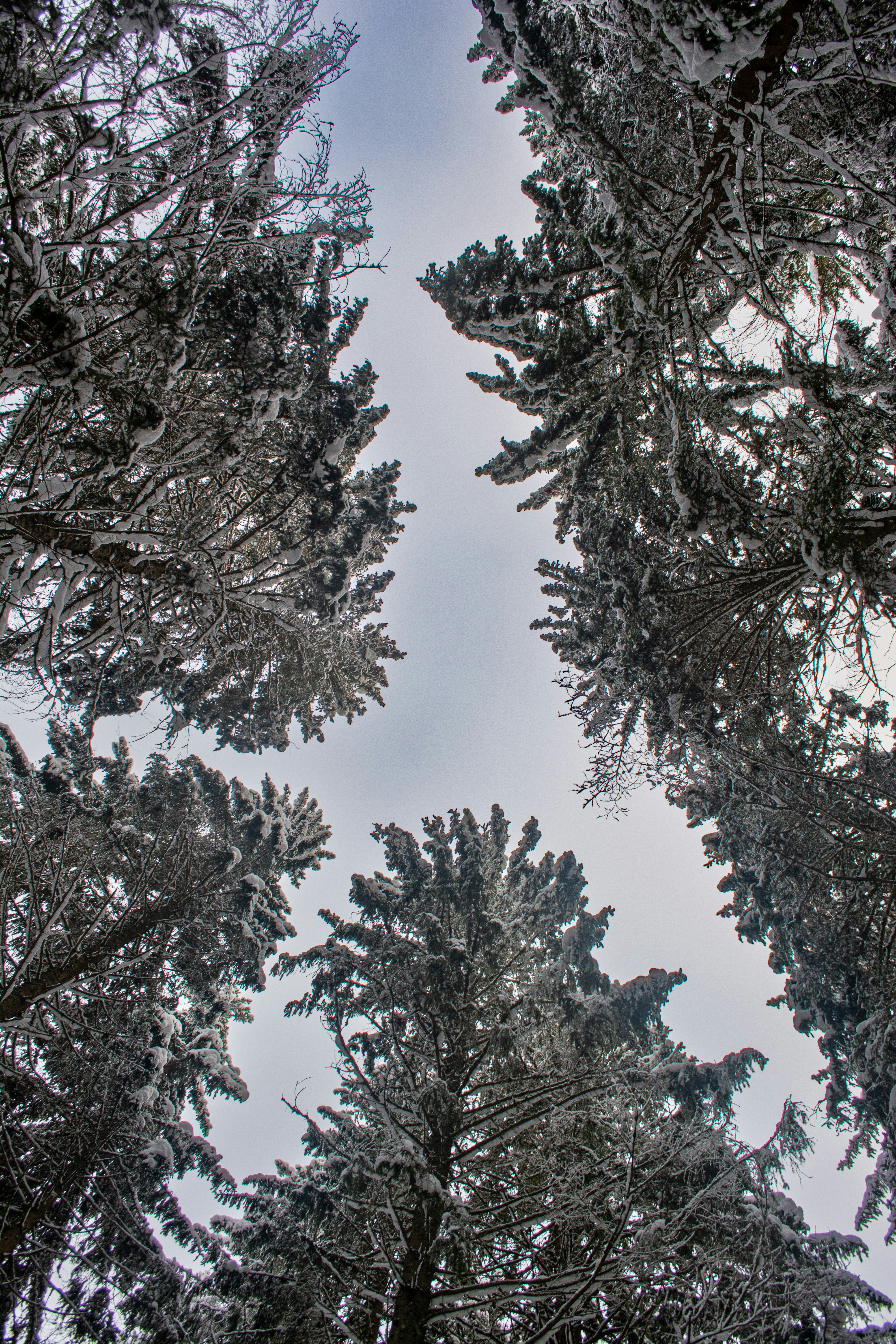 Photo by fabiankleiser