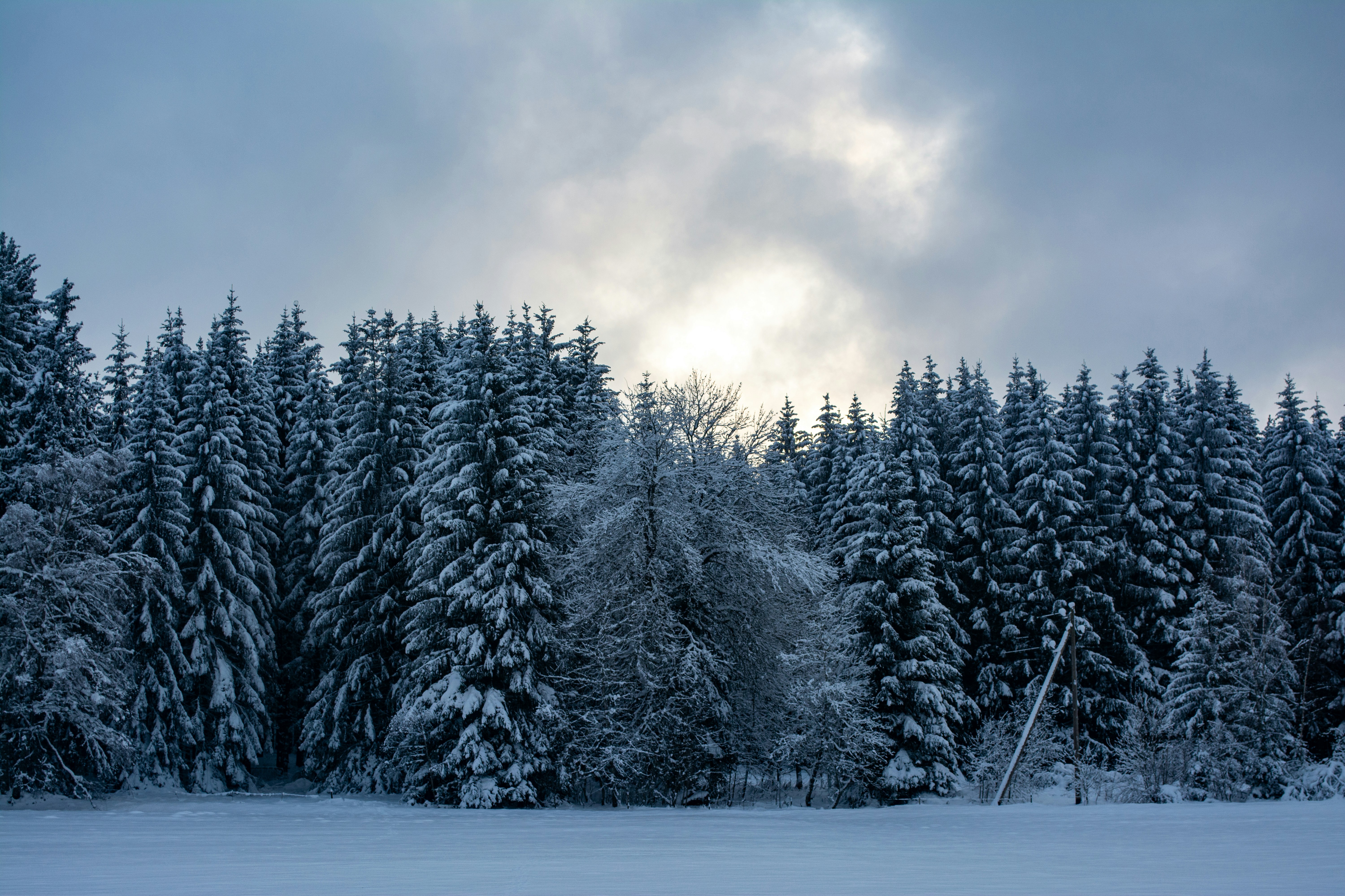 Photo by fabiankleiser