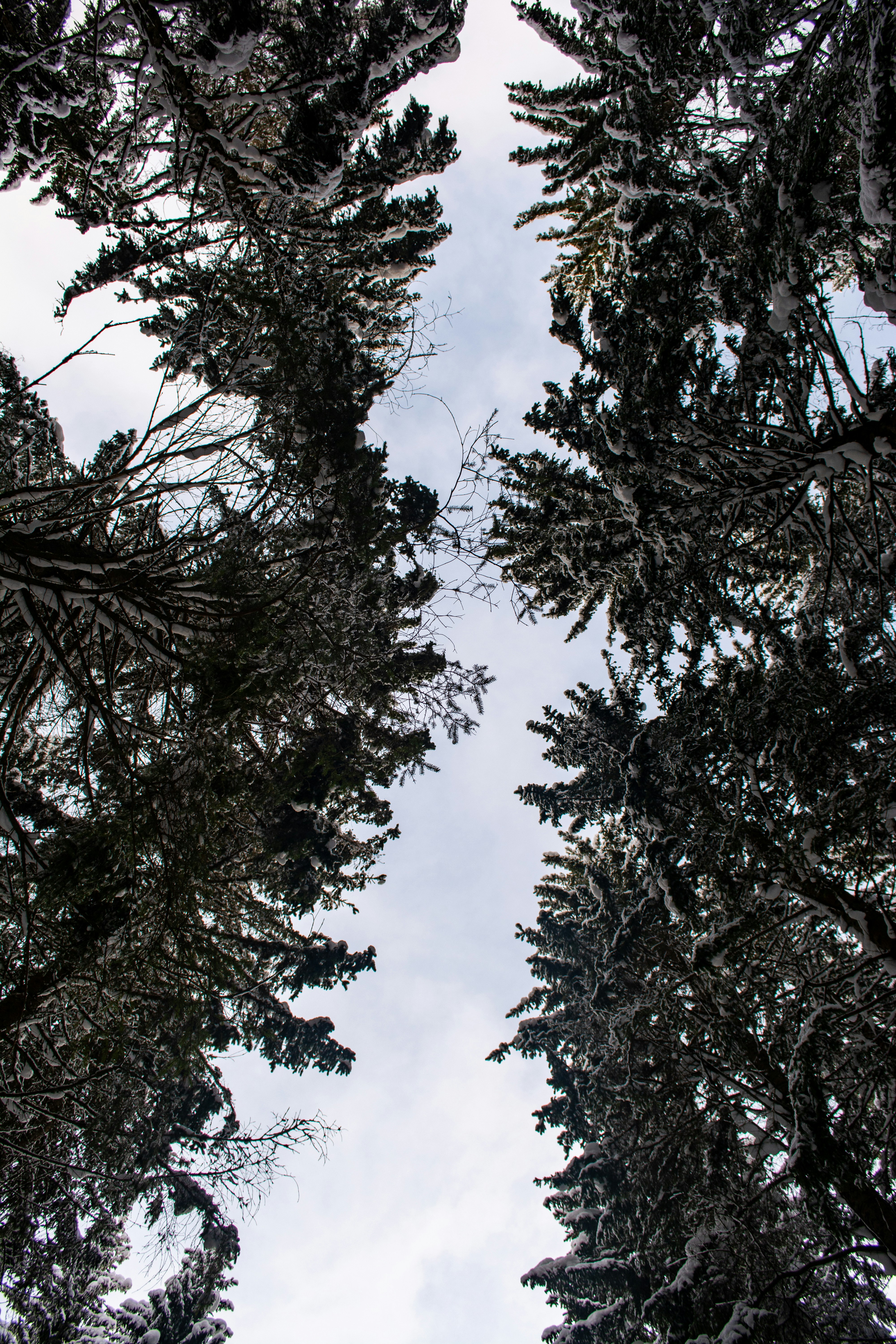 Photo by fabiankleiser