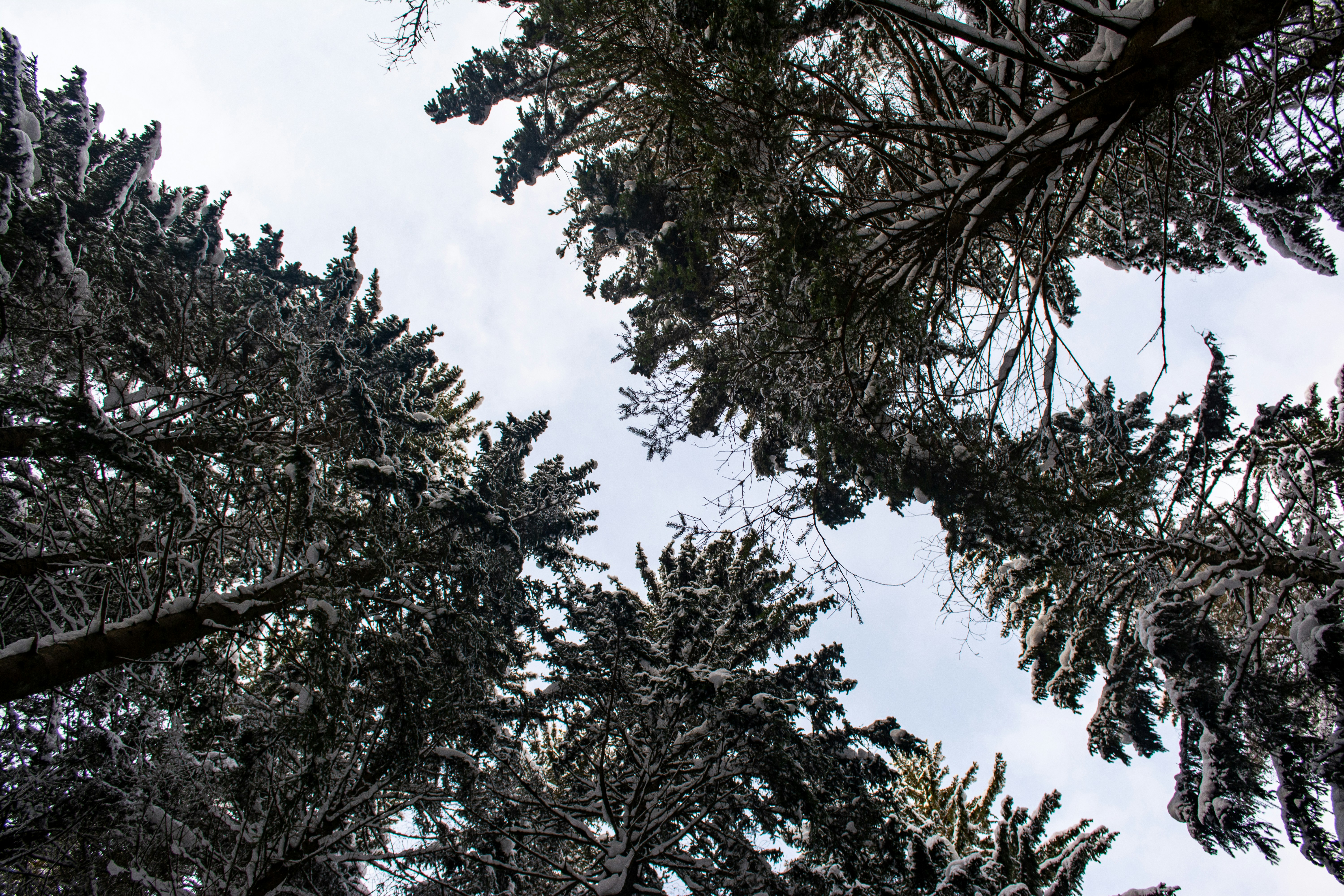 Photo by fabiankleiser