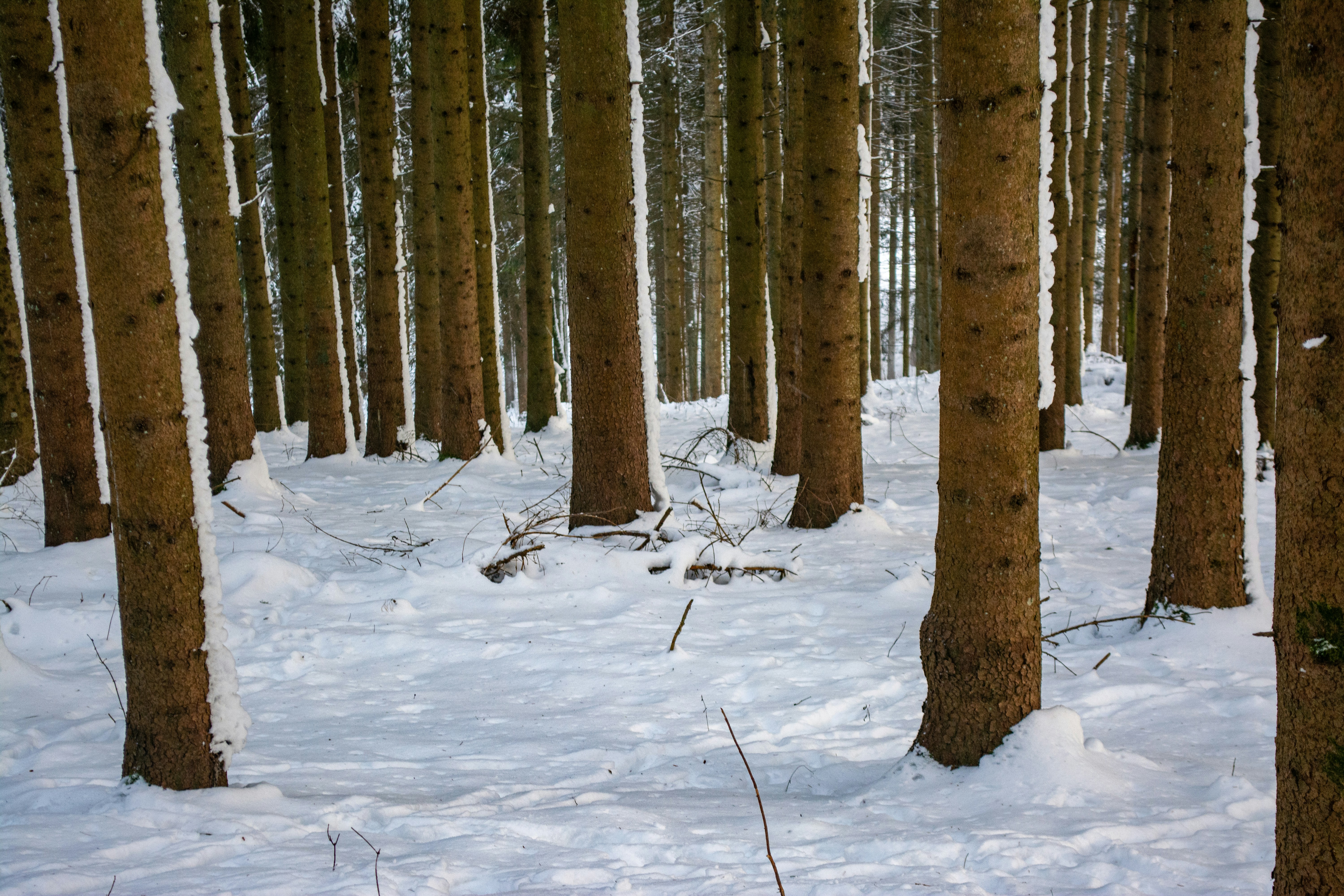 Photo by fabiankleiser