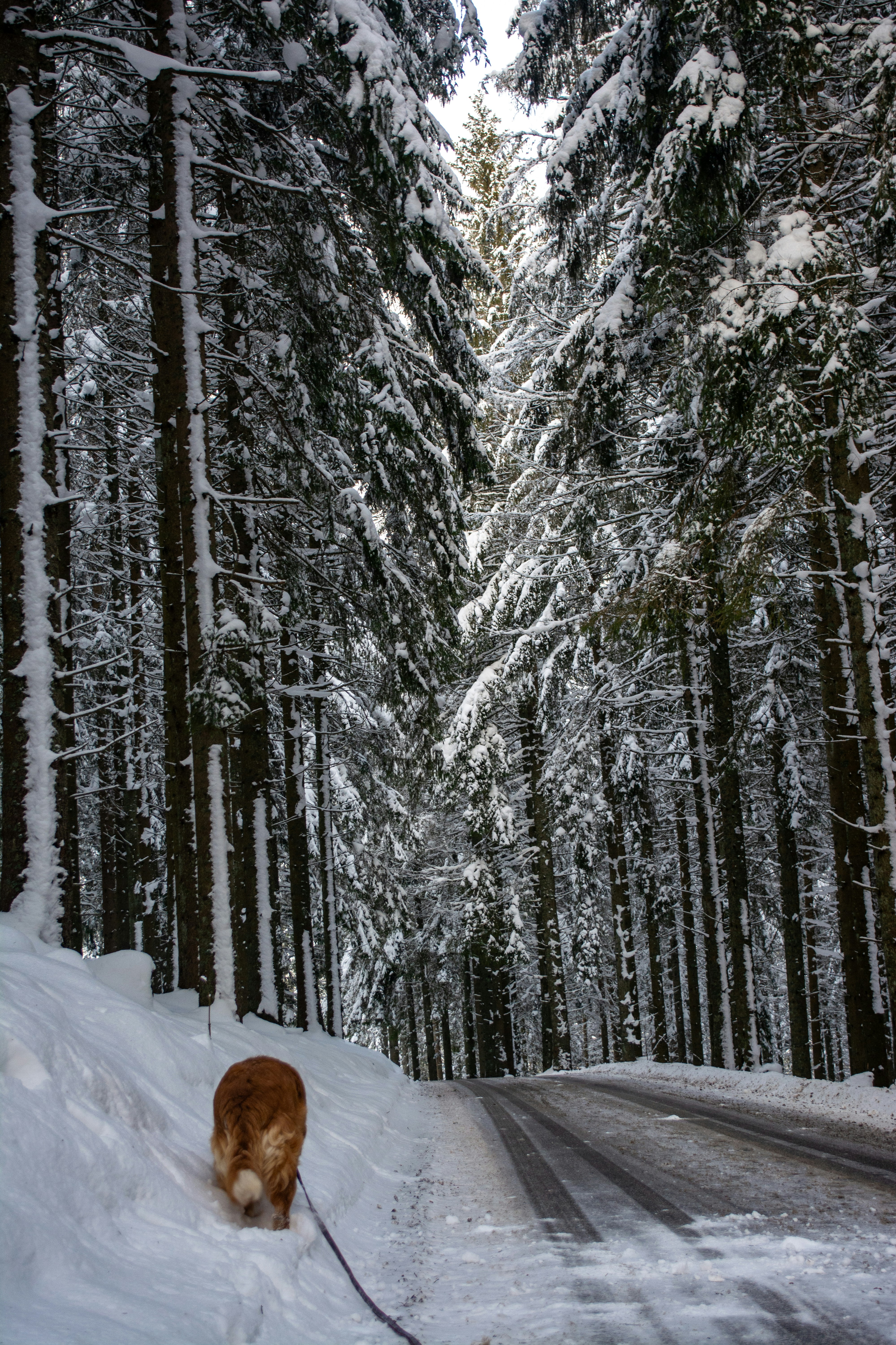 Photo by fabiankleiser