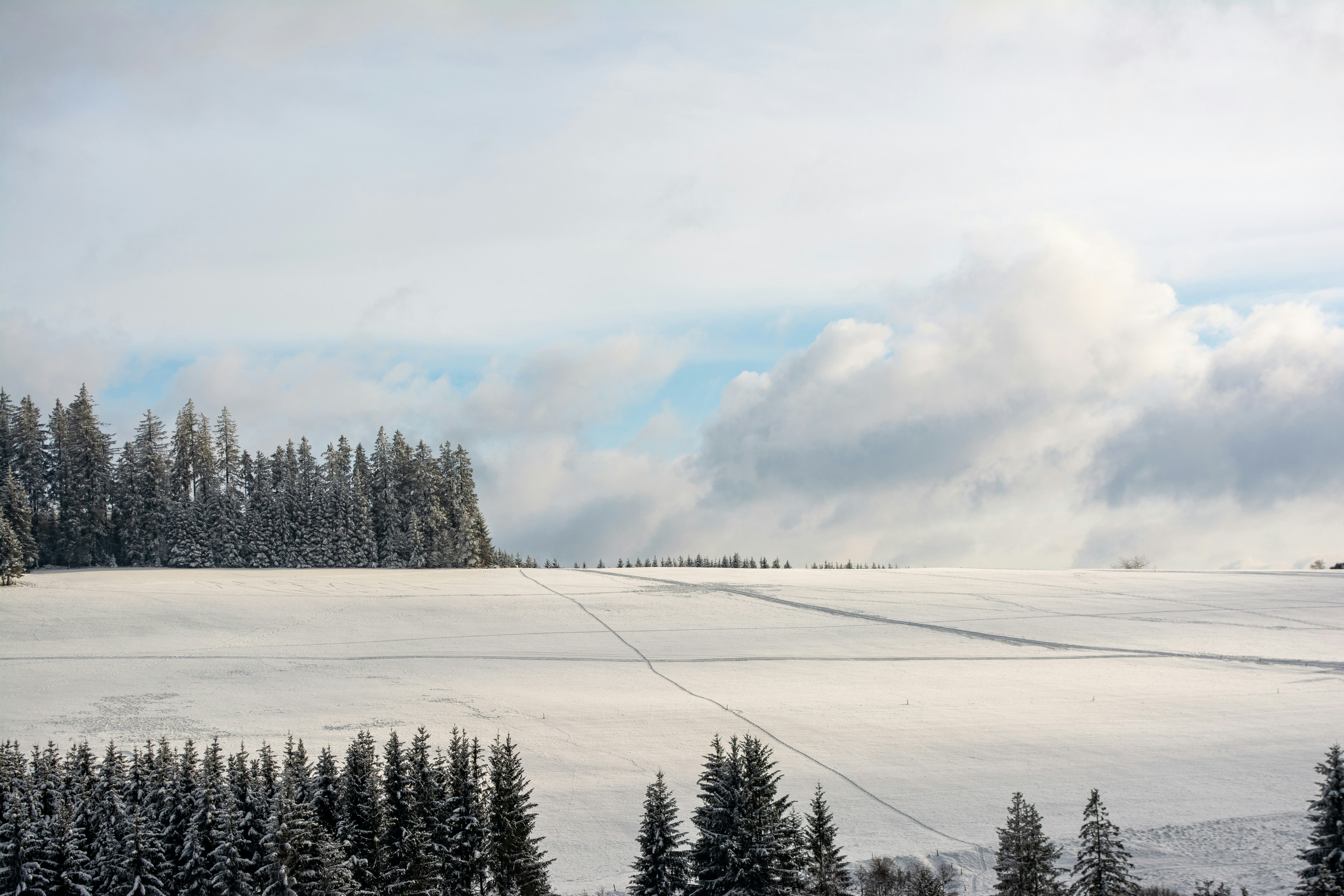 Photo by fabiankleiser