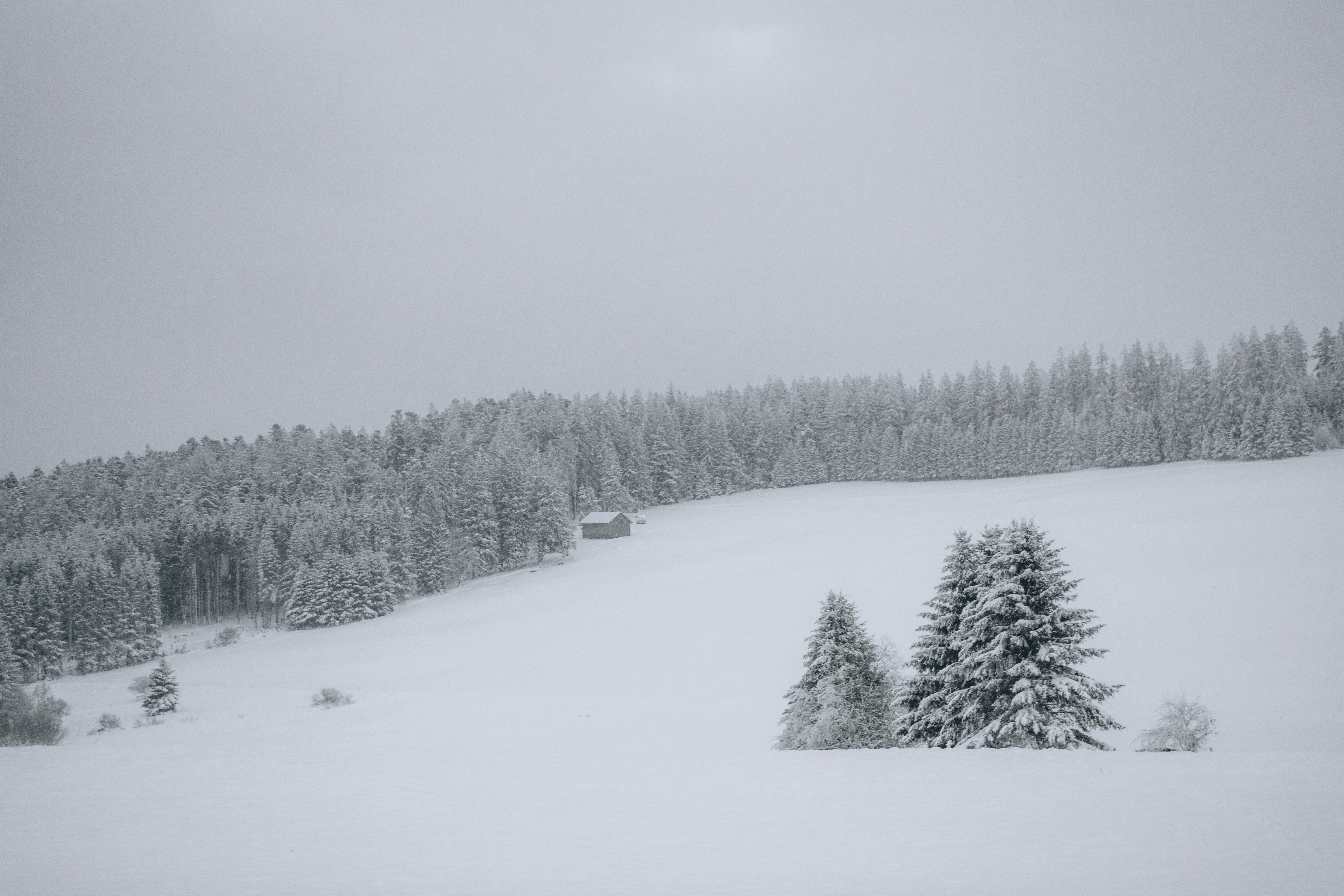 Photo by fabiankleiser