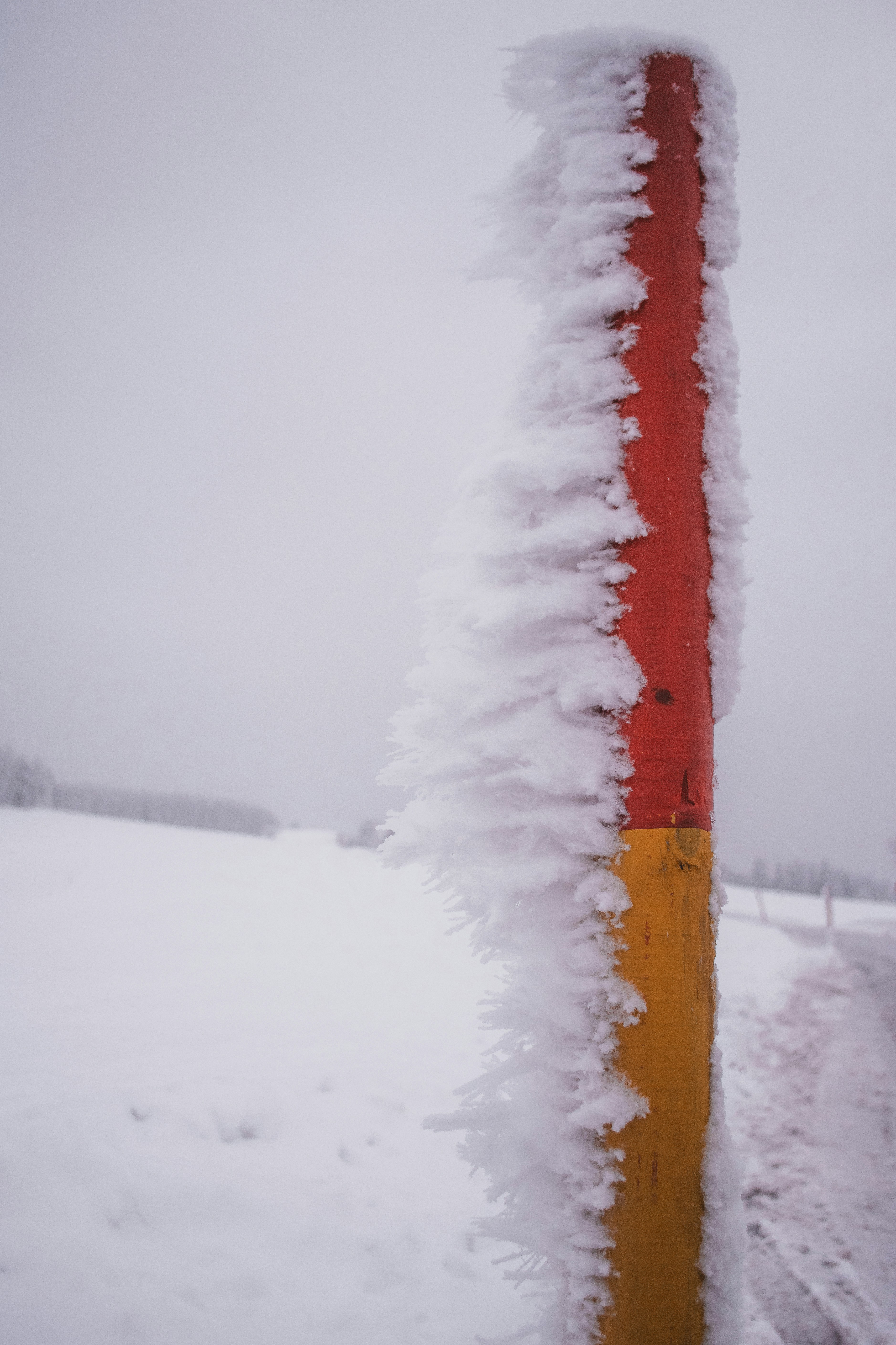You know it’s truly winter when even the road markers start growing icicles! The chill bites, but the colors still pop—like winter’s way of keeping things interesting. 🧊