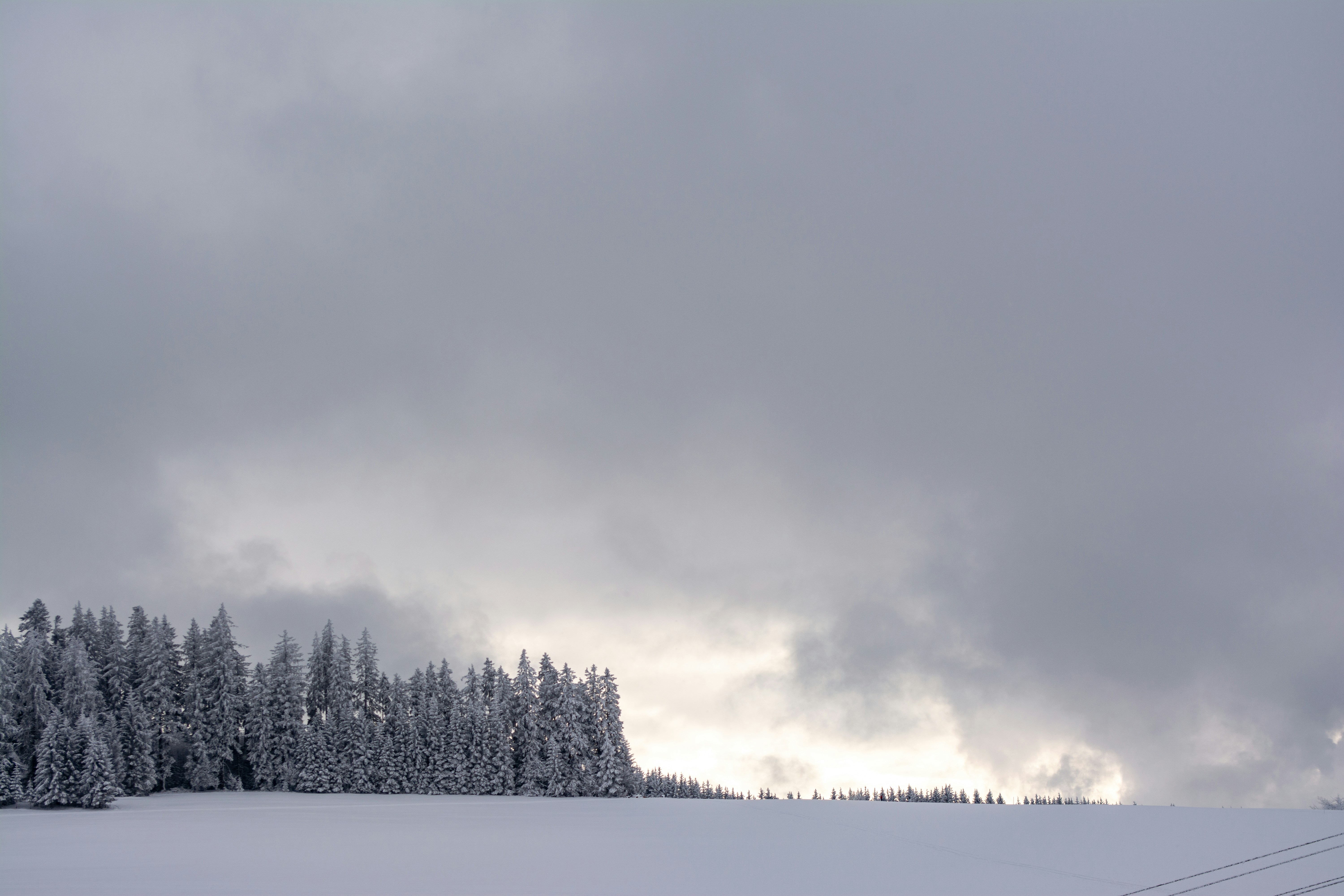 Photo by fabiankleiser