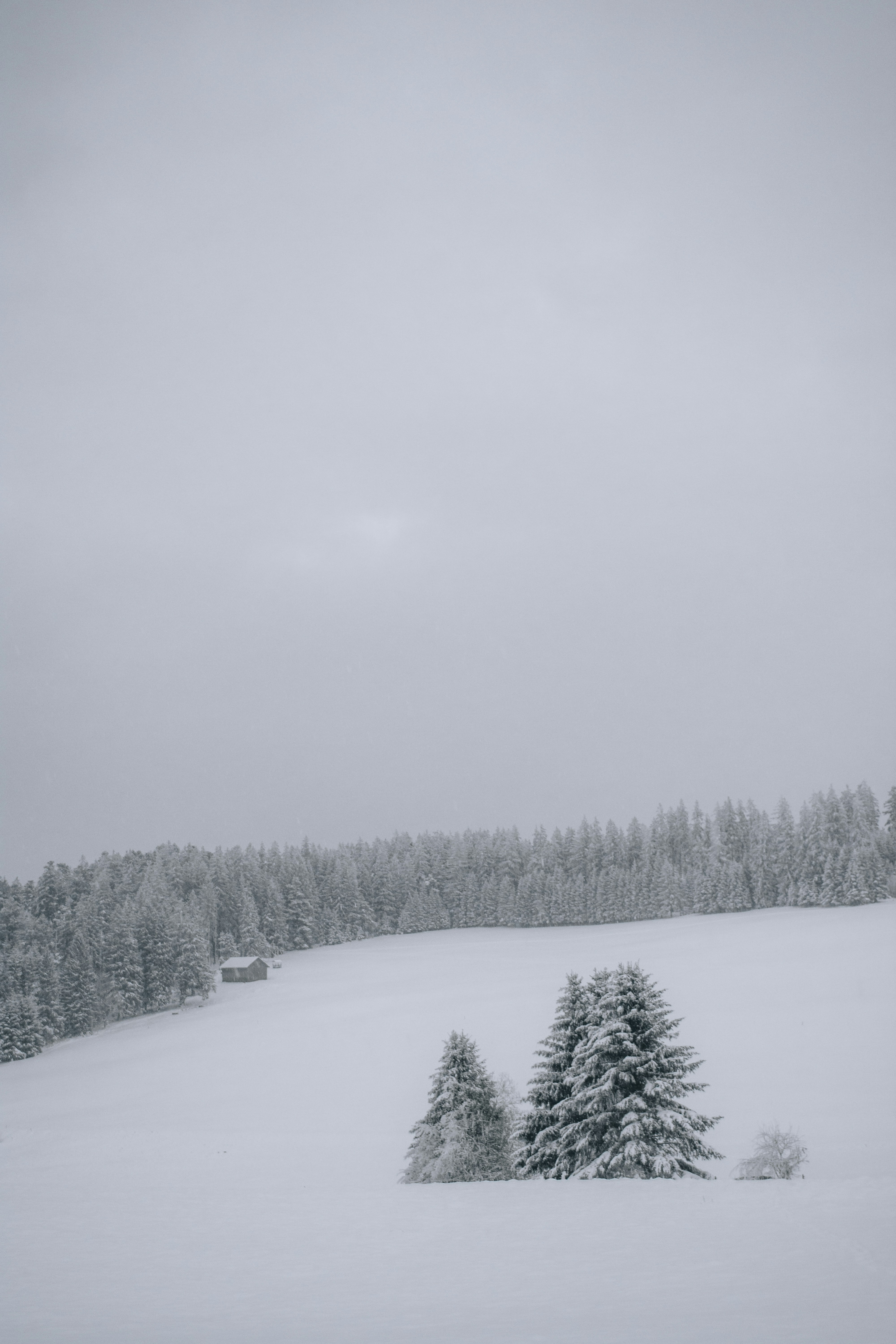 Photo by fabiankleiser