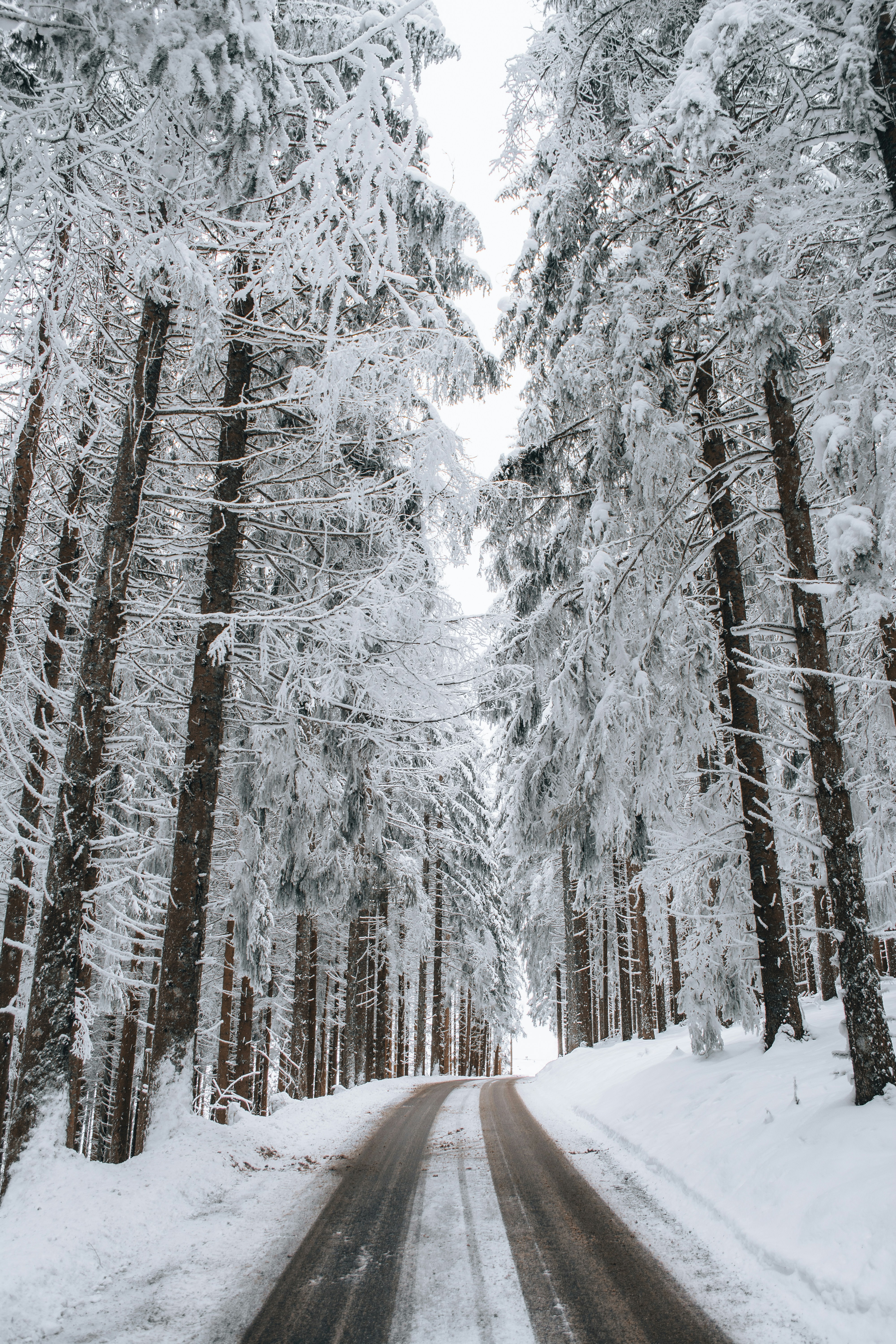 Photo by fabiankleiser