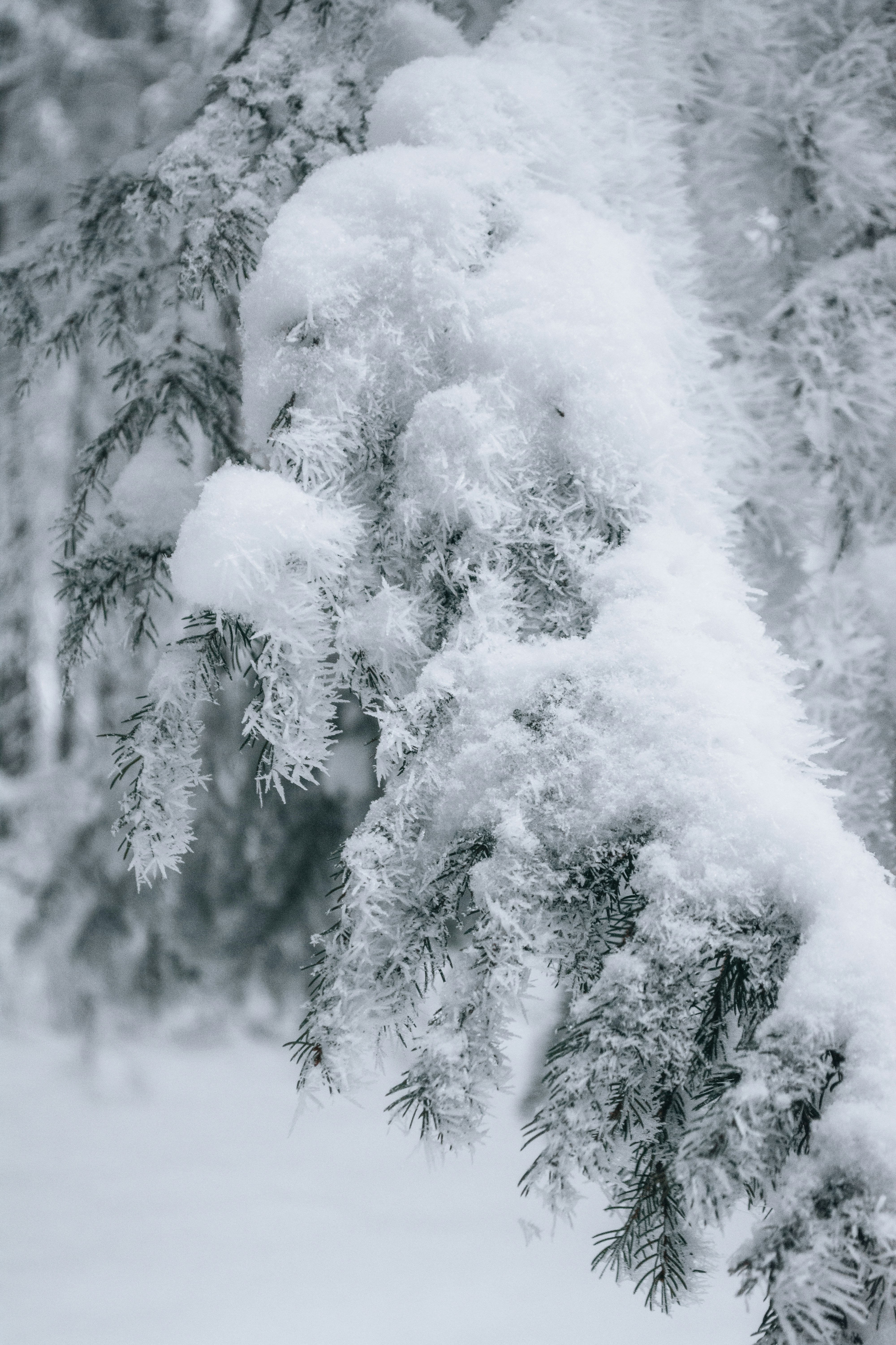 Photo by fabiankleiser