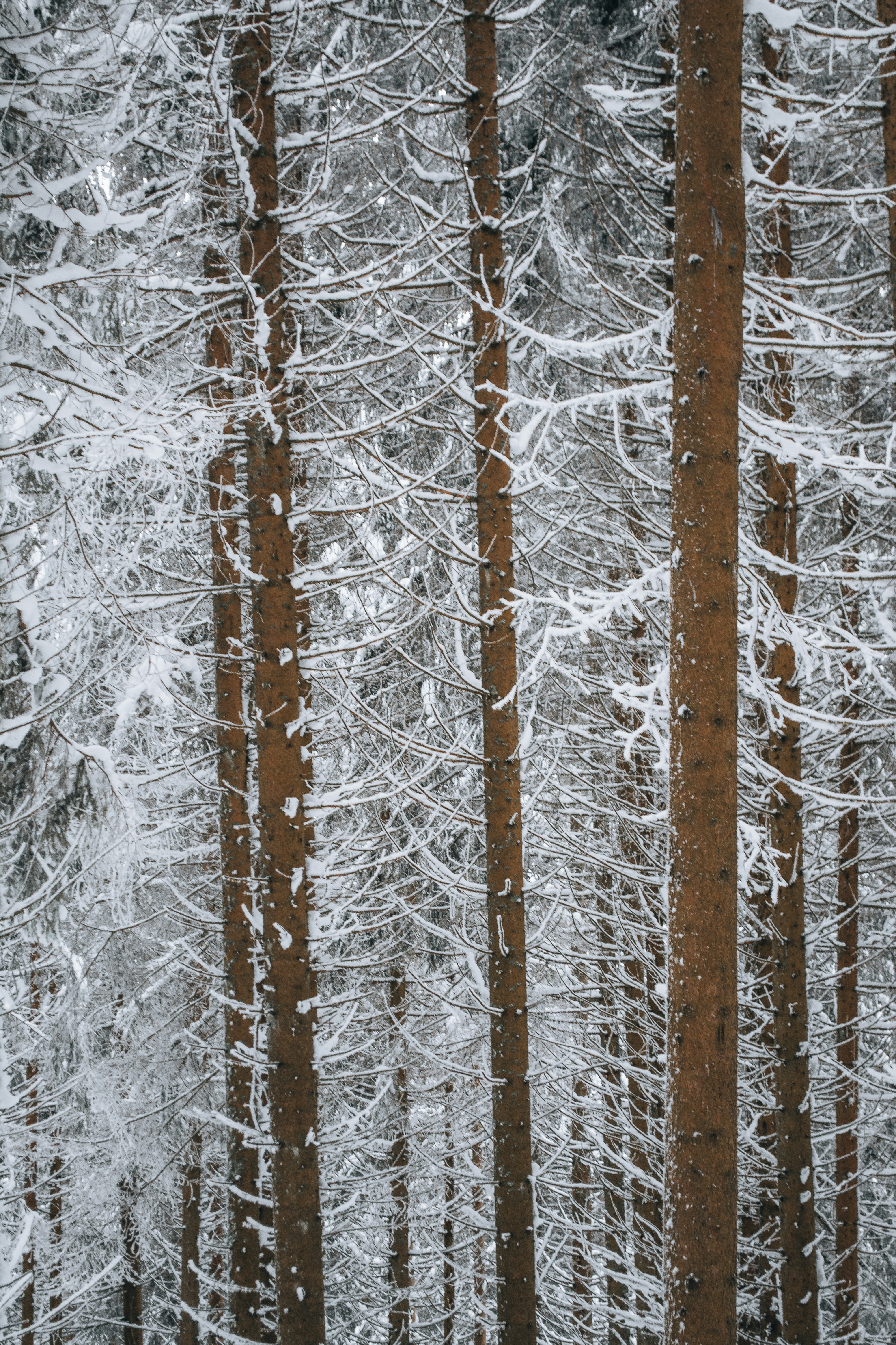 Photo by fabiankleiser