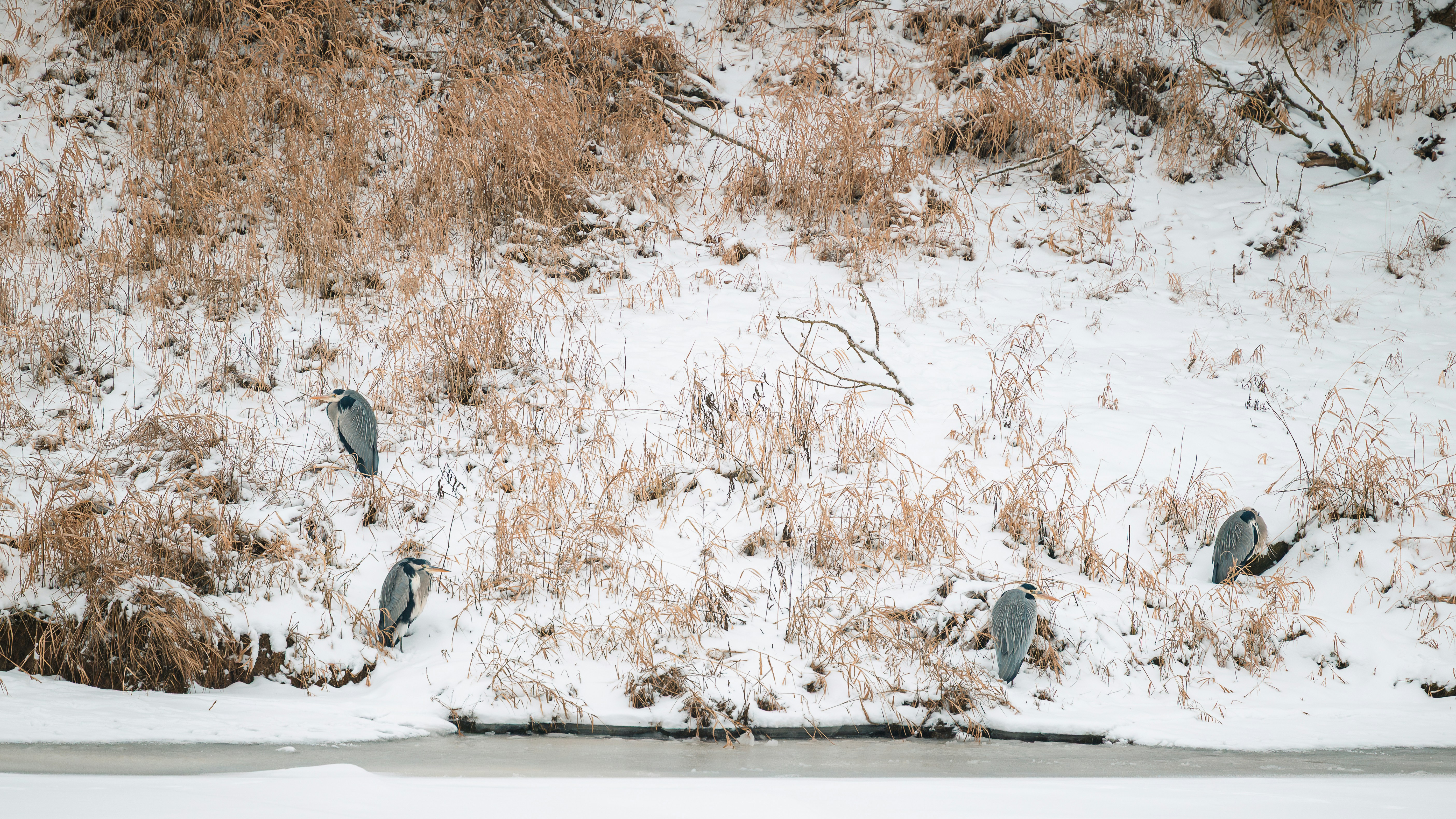 Photo by jetztabertempo