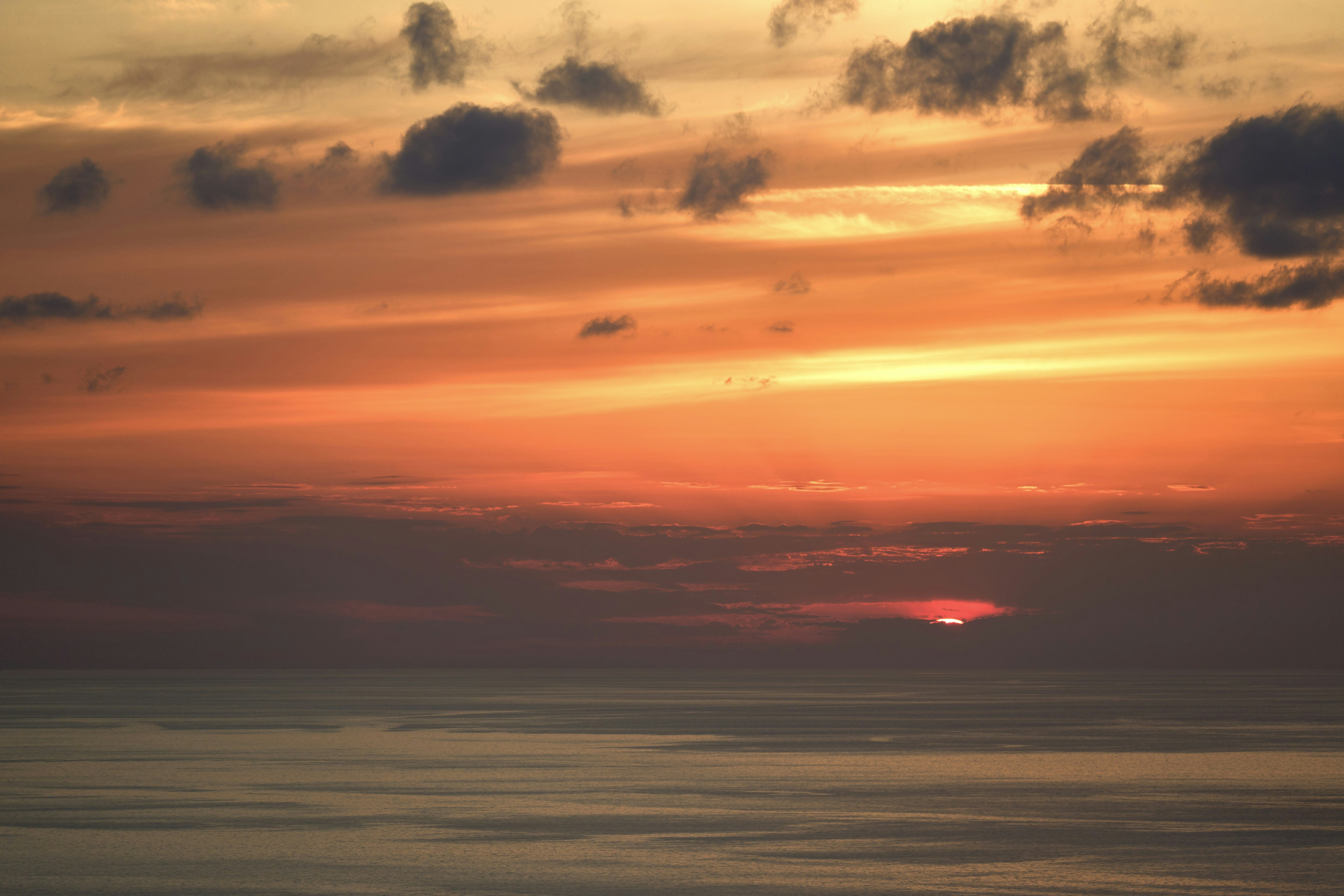 Photo by wolfgang_hasselmann