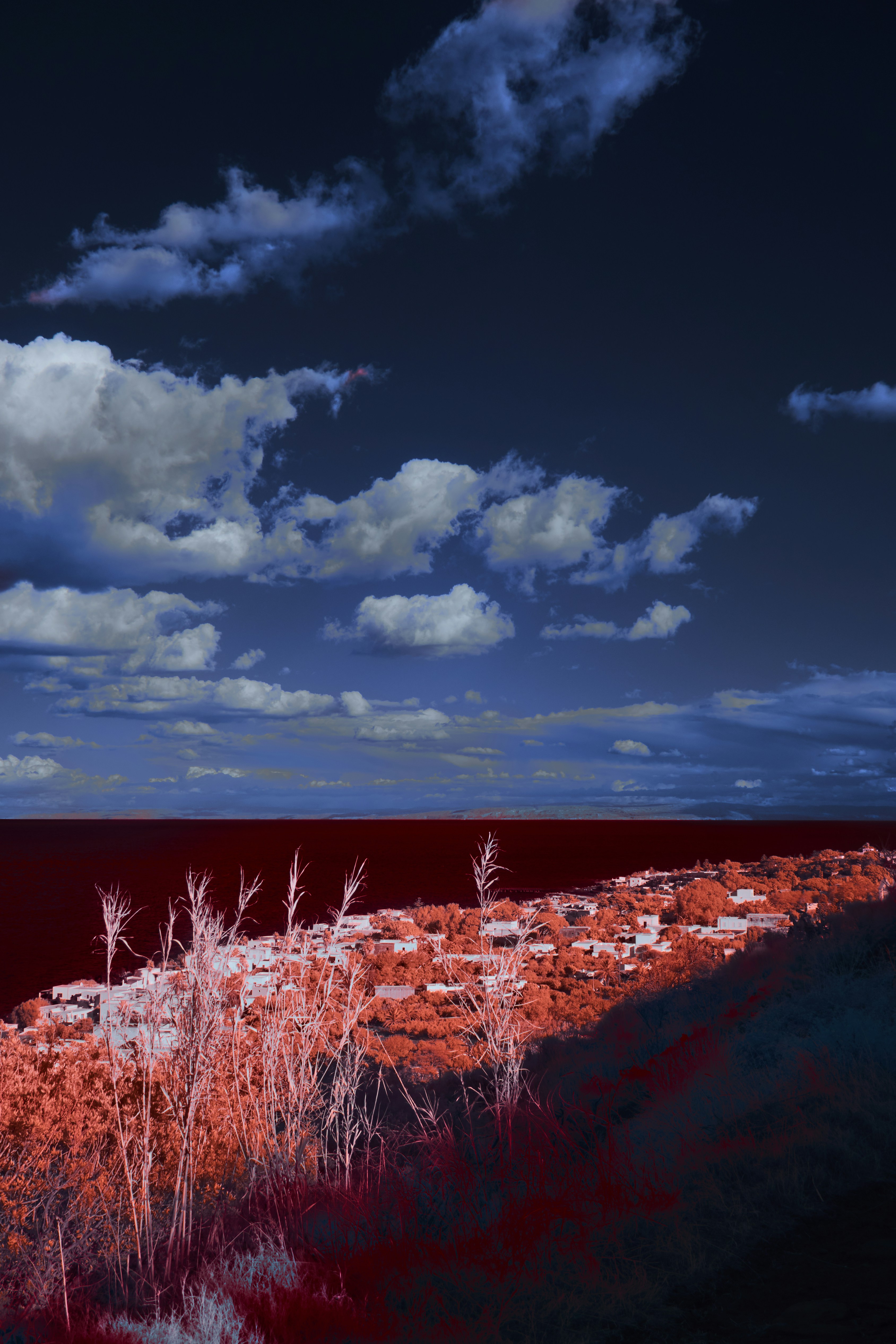 Photo by wolfgang_hasselmann