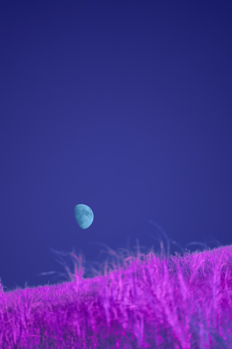 몽환적인 밤하늘과 달 - 꿈 기억력 향상