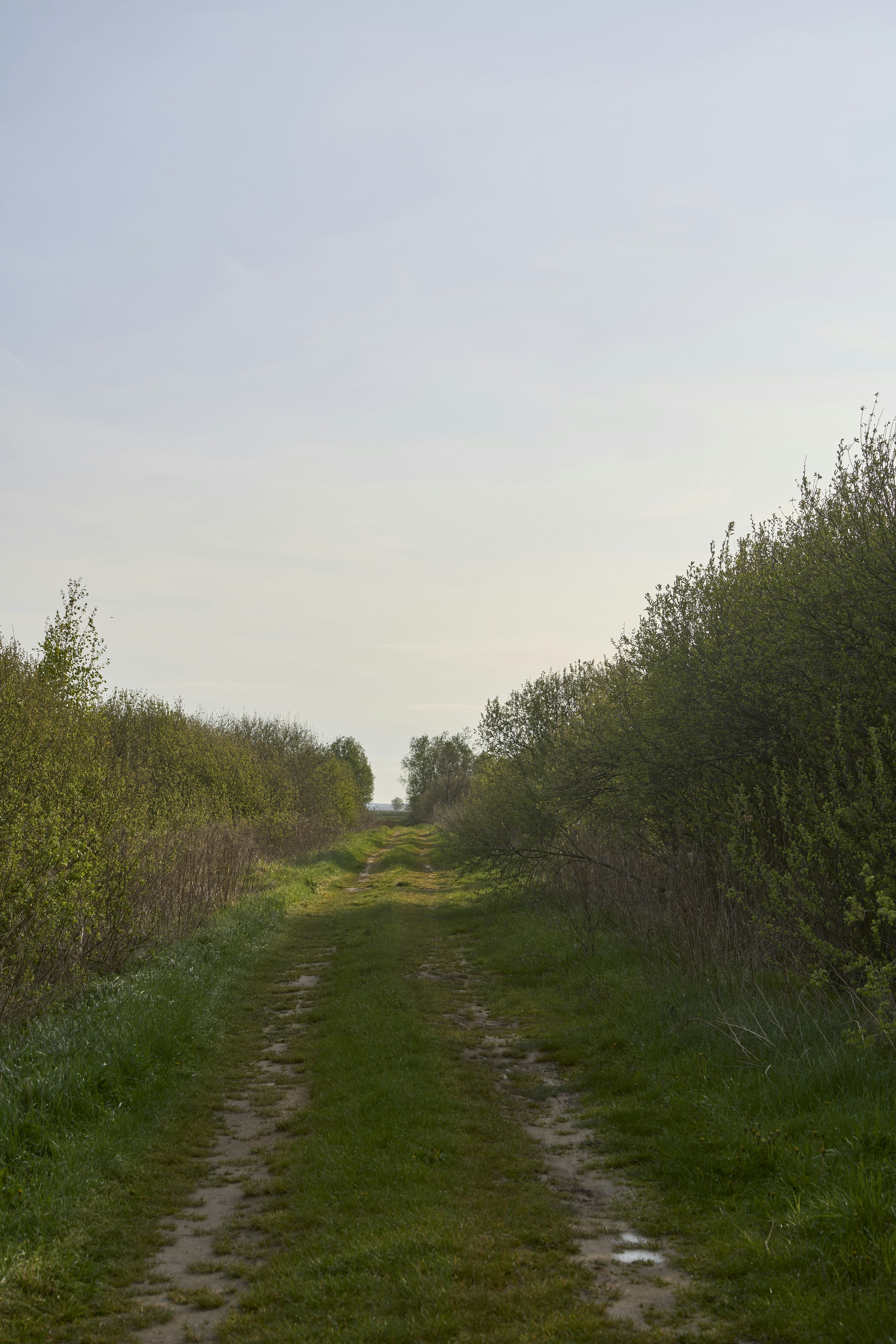 Photo by wolfgang_hasselmann