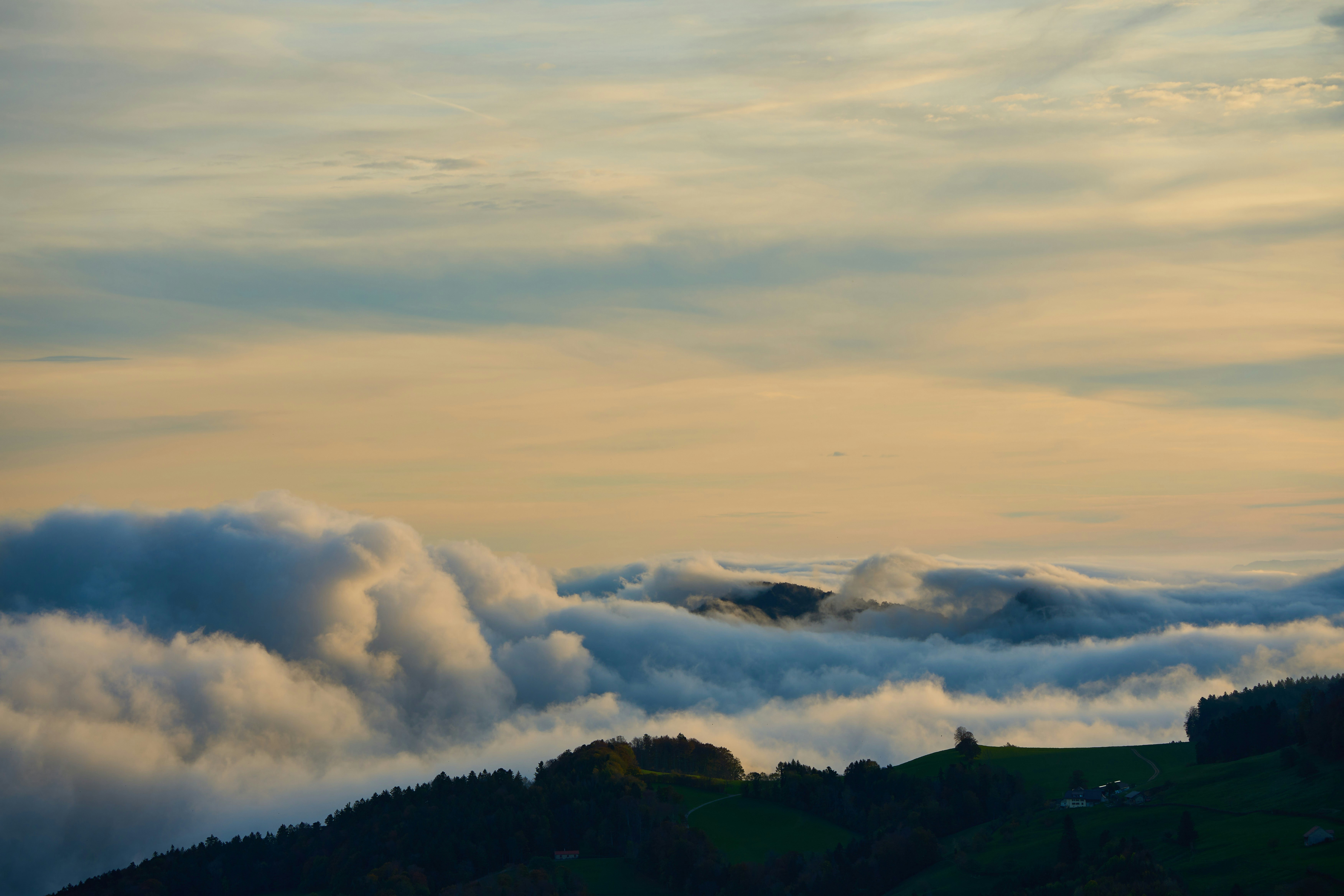 Photo by wolfgang_hasselmann