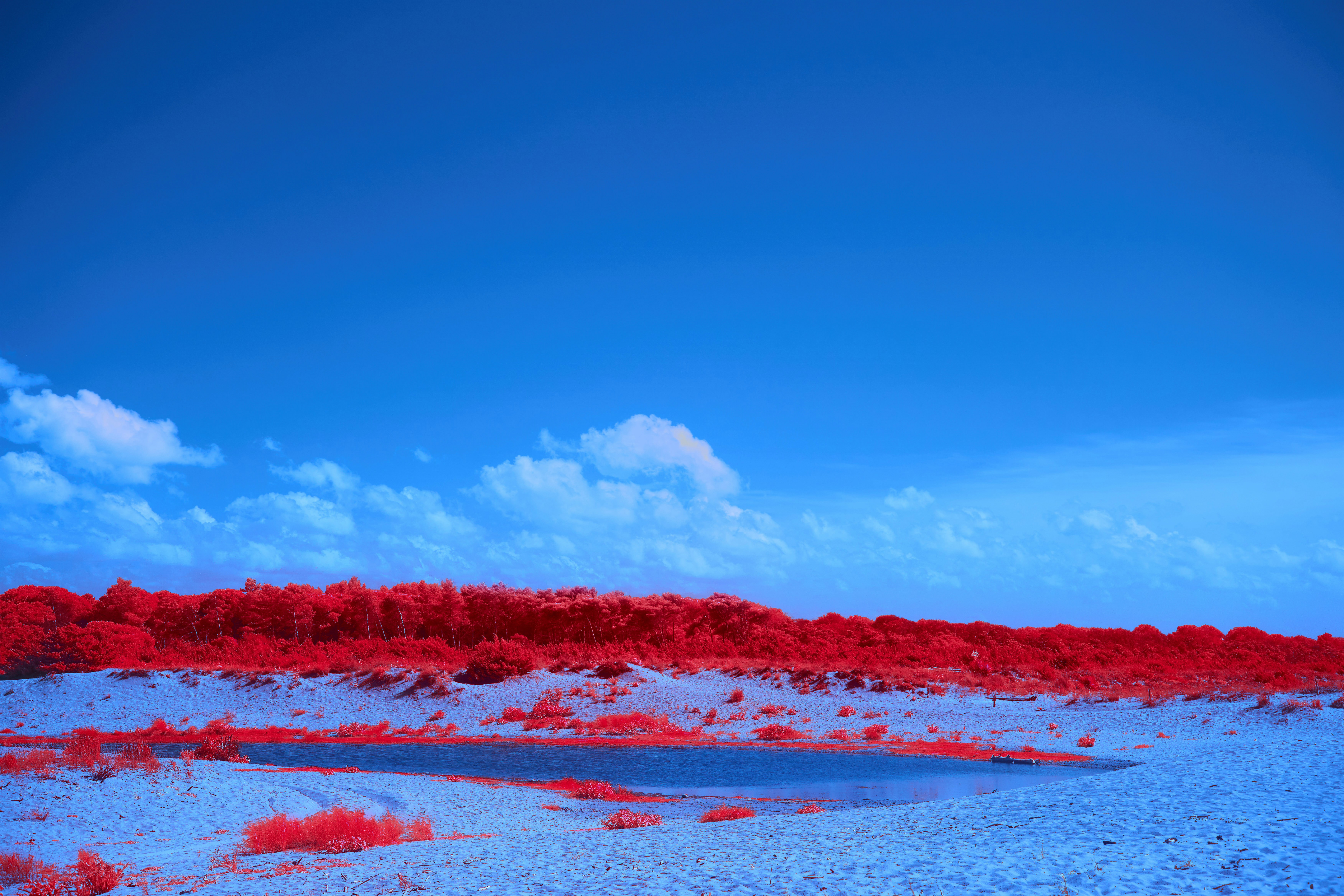 Photo by wolfgang_hasselmann