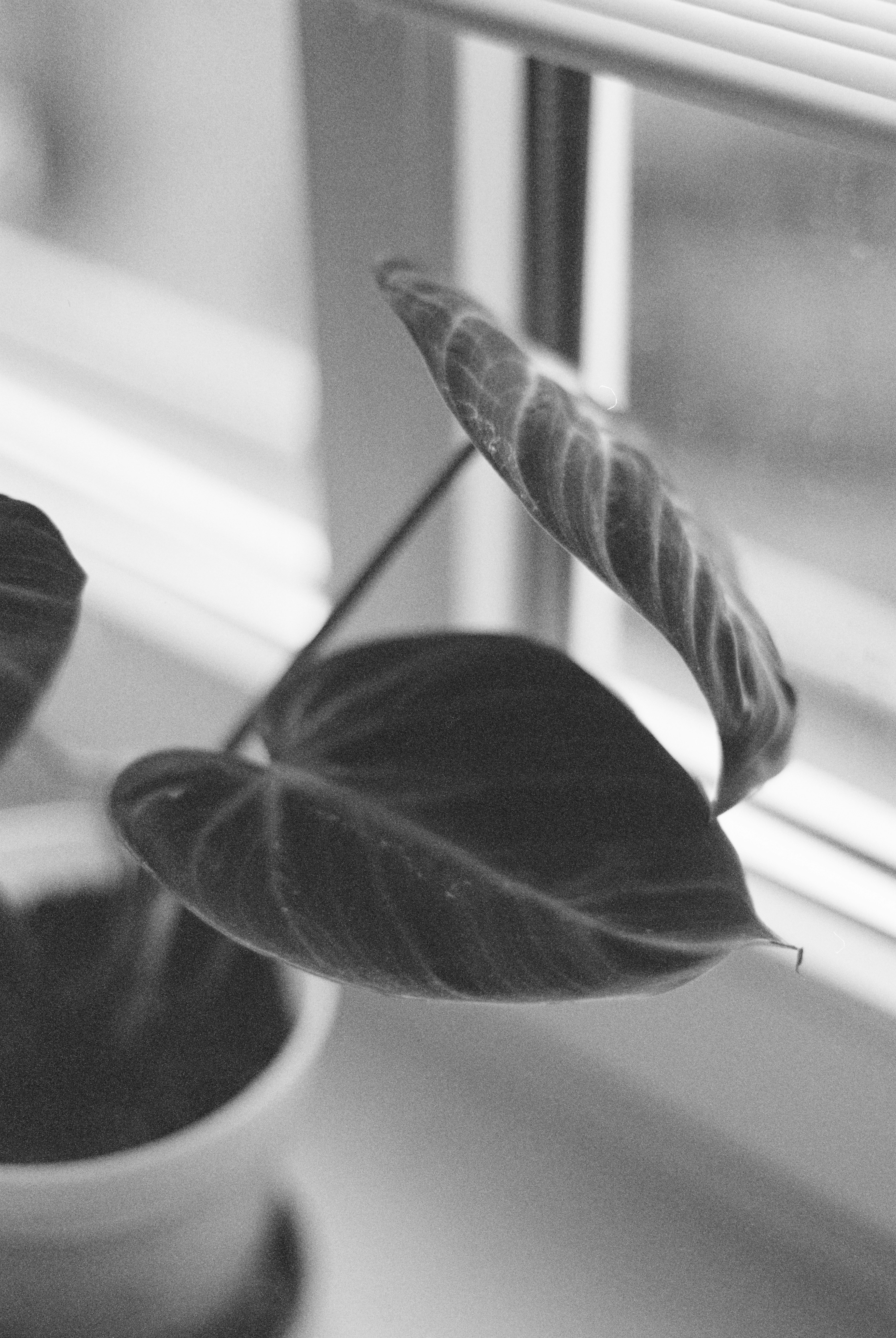 Photo by hypernature