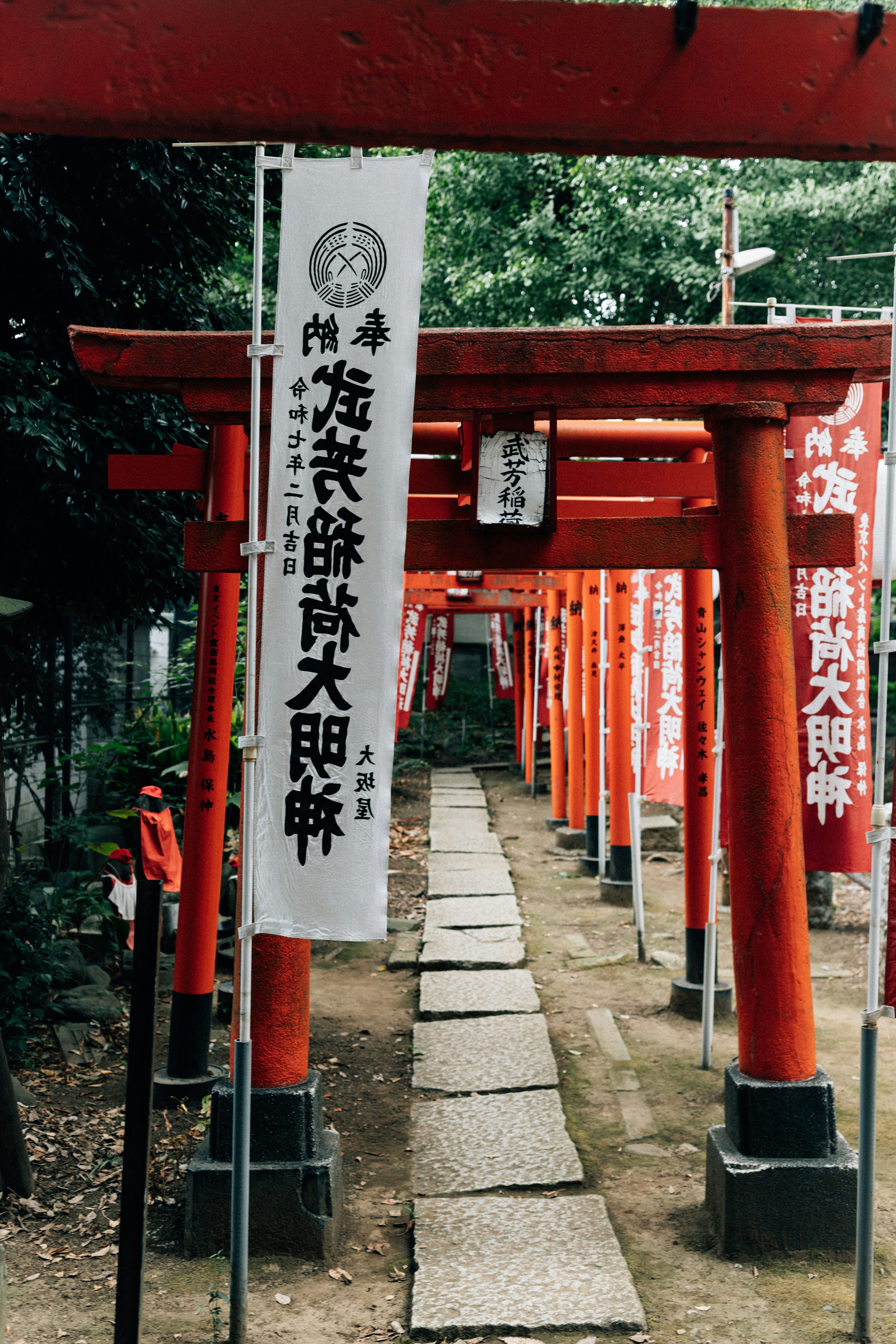 Photo by tsuyoshikozu