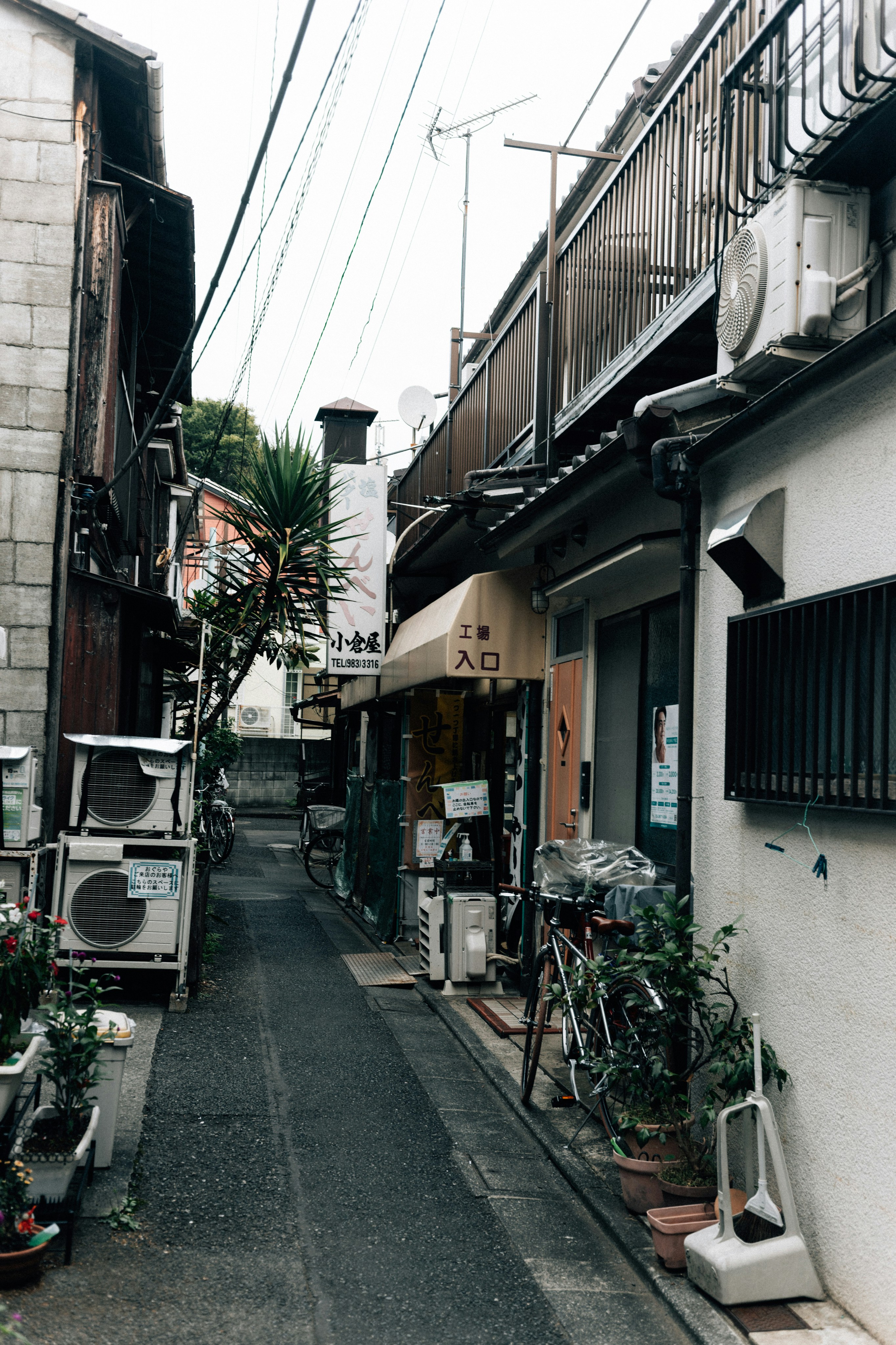 Photo by tsuyoshikozu