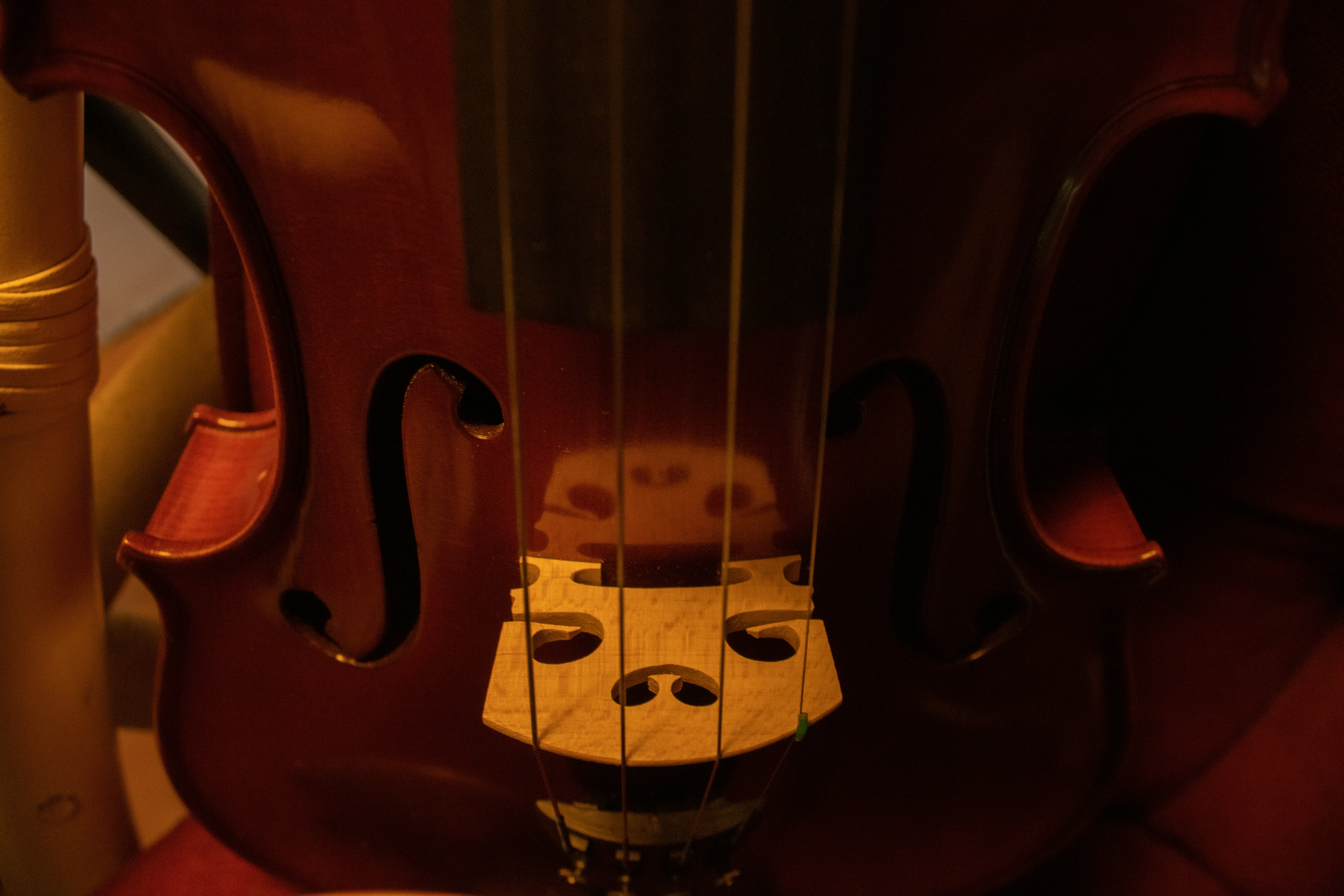 Close-up of a wooden violin bridge and strings
