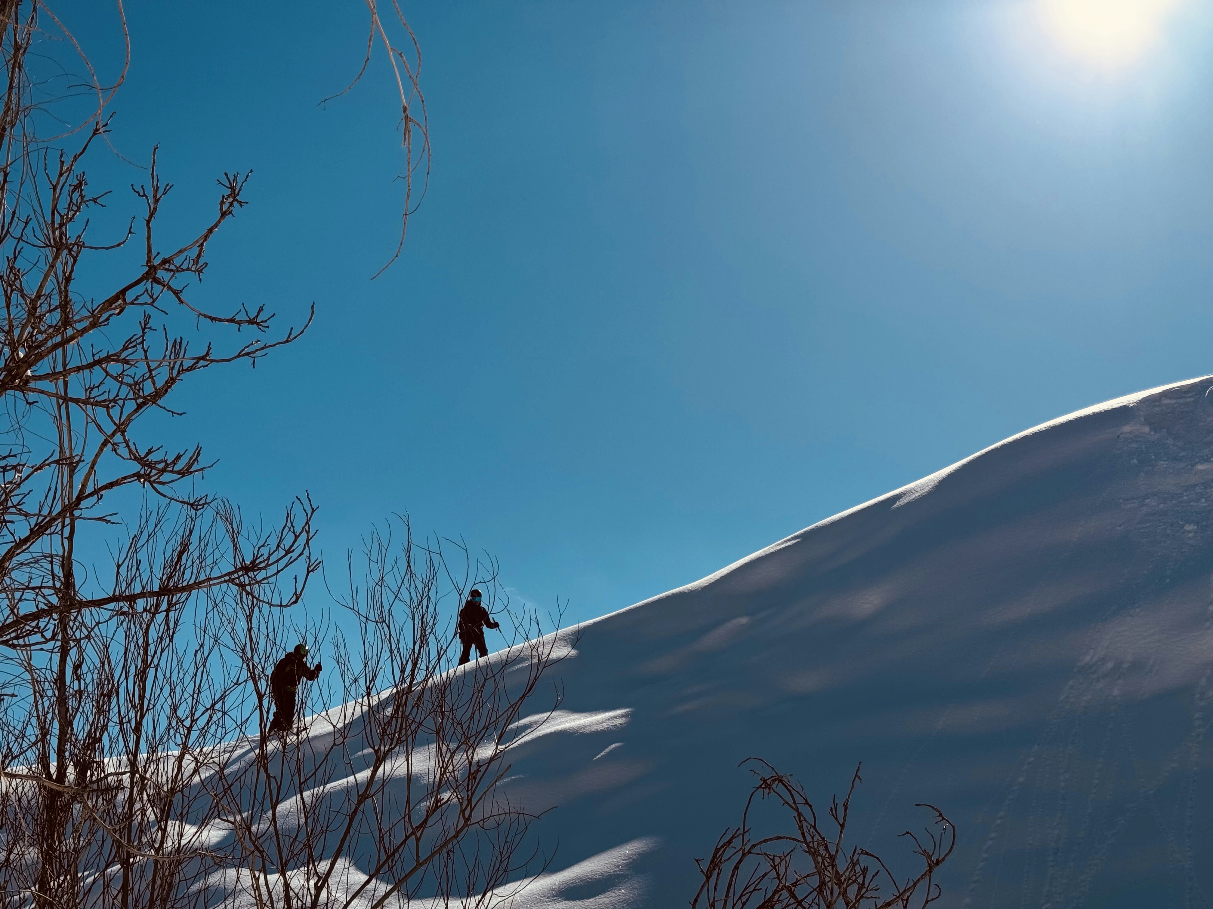 Photo by meataltitude