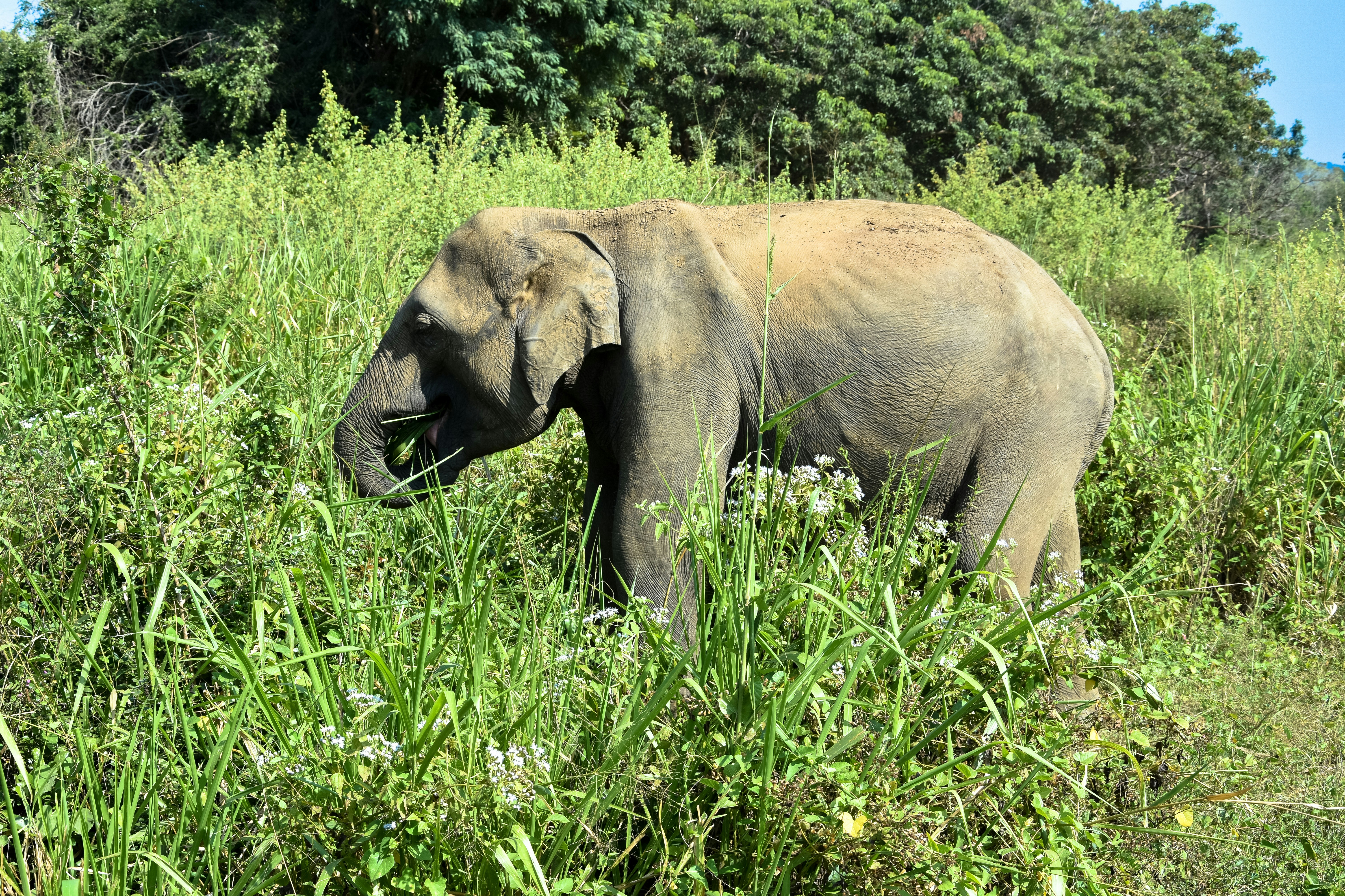 Photo by alehandra13