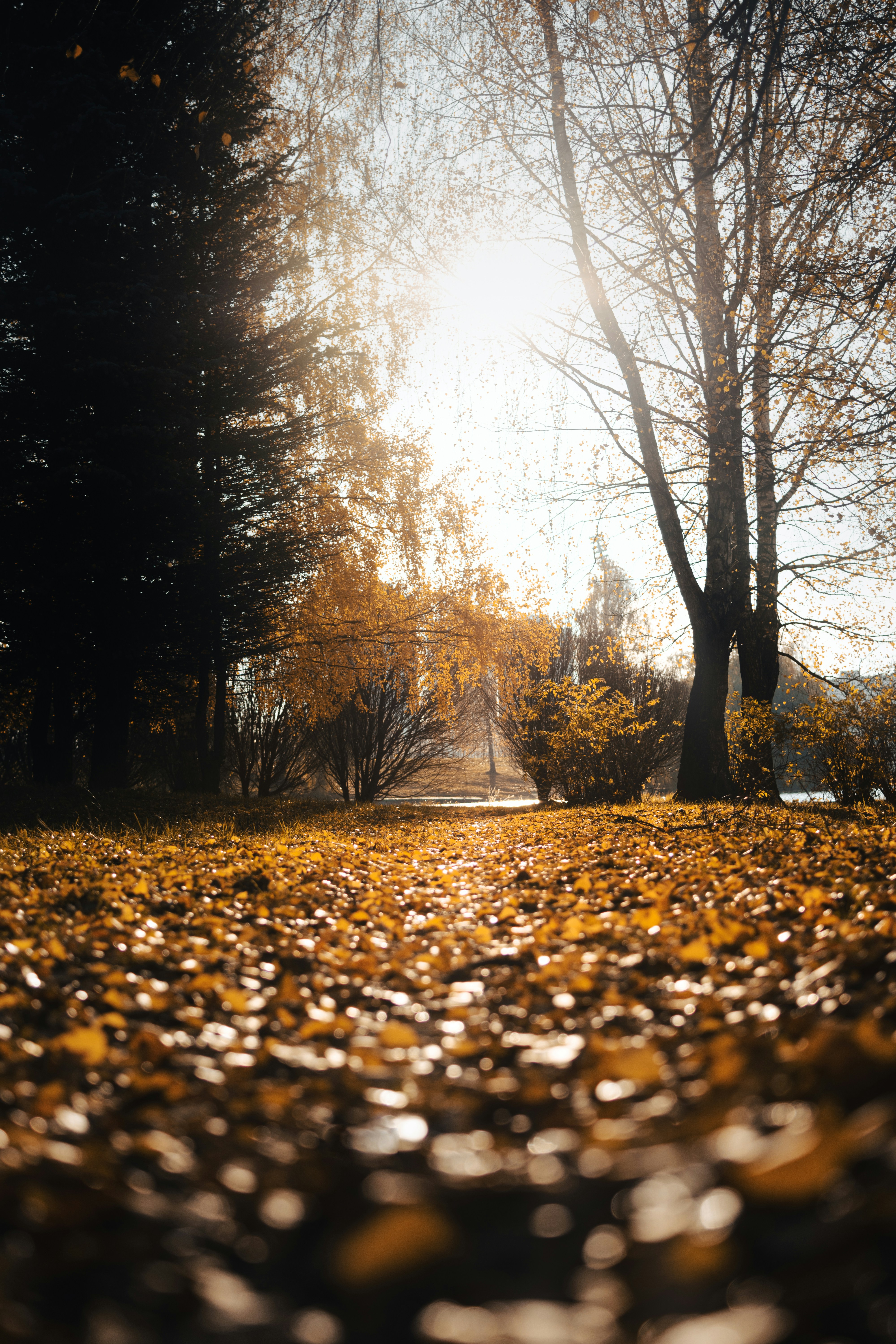 Photo by eadutskevich