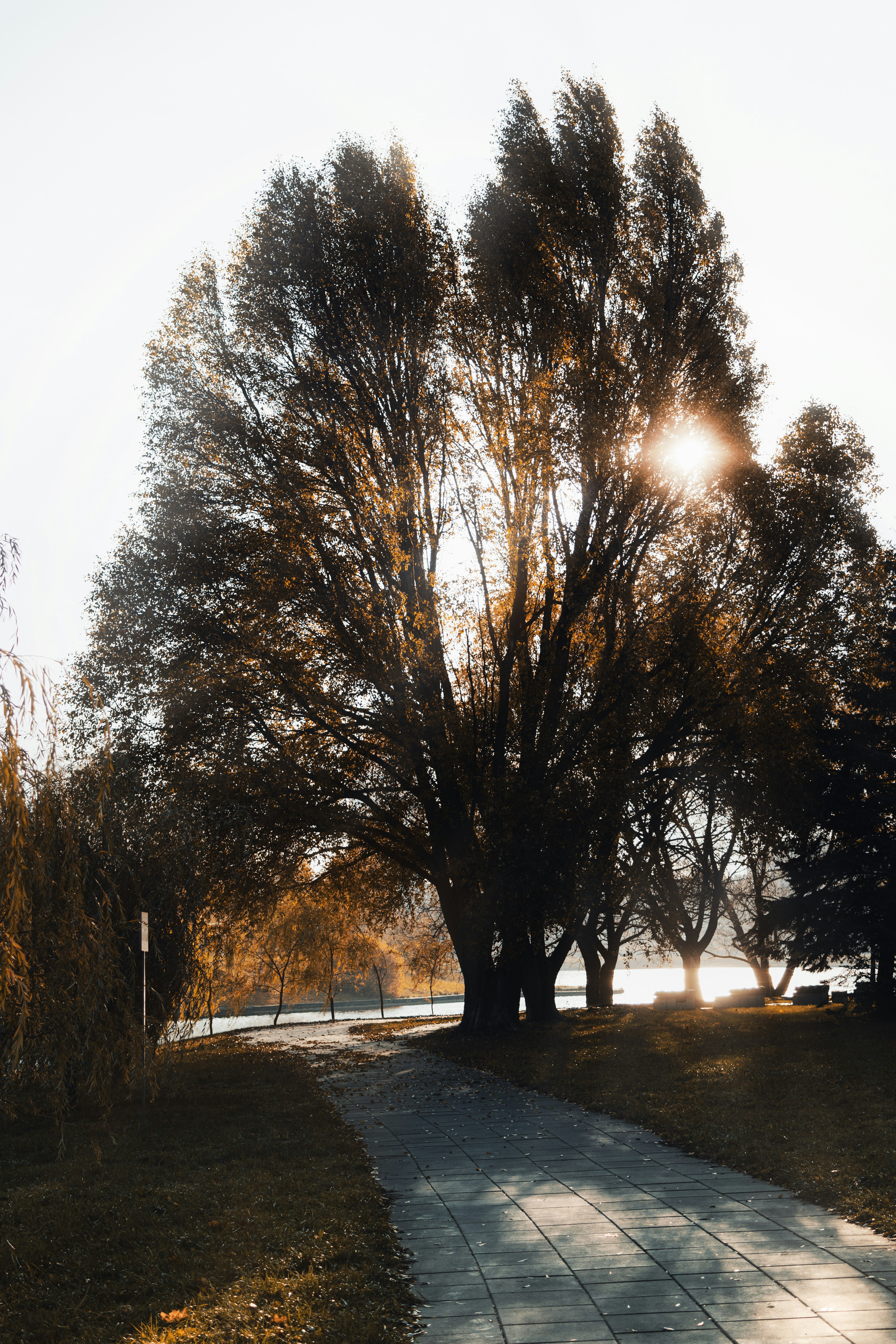 Photo by eadutskevich