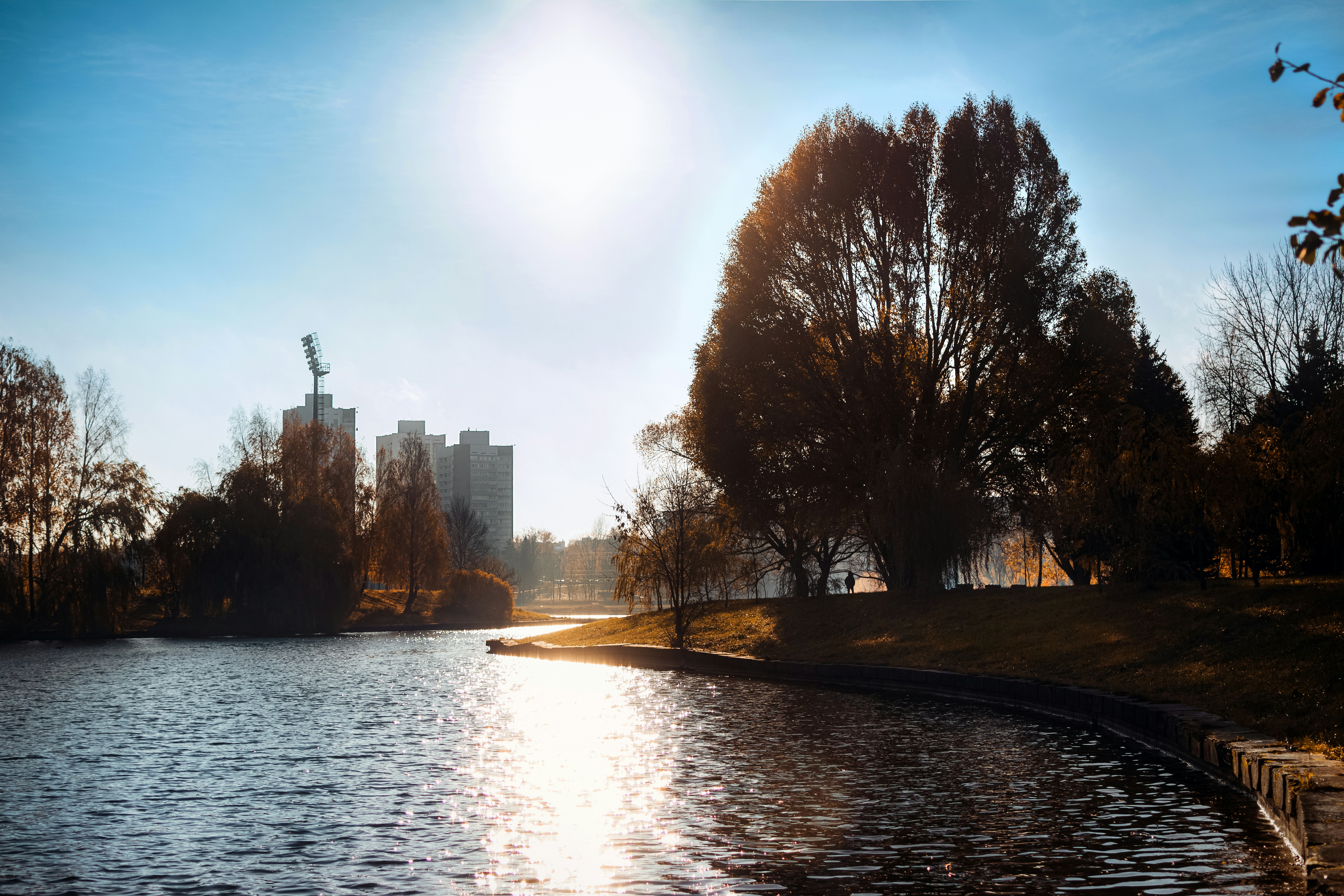 Sunny day over a tranquil lake with trees and buildings.