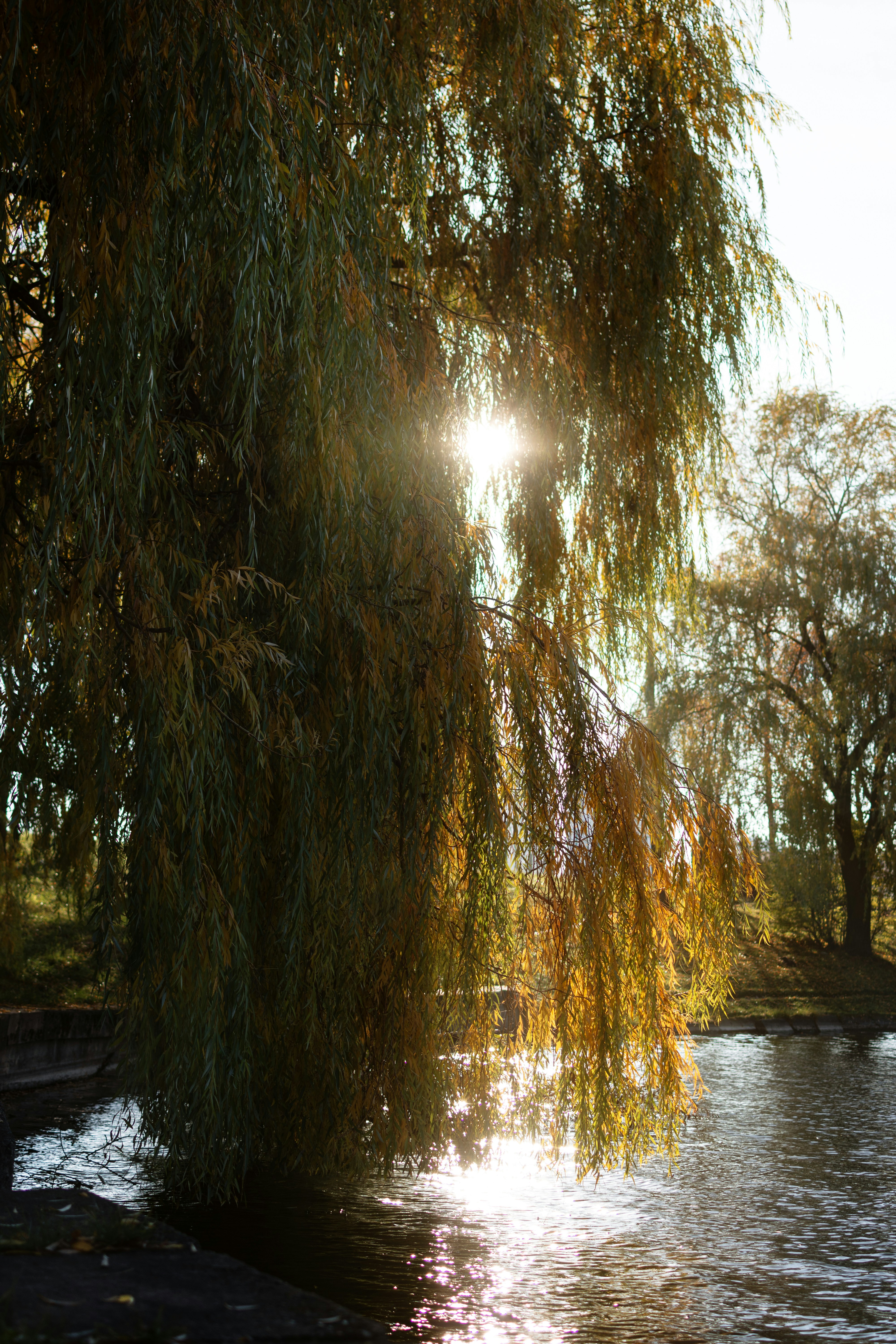 Photo by eadutskevich