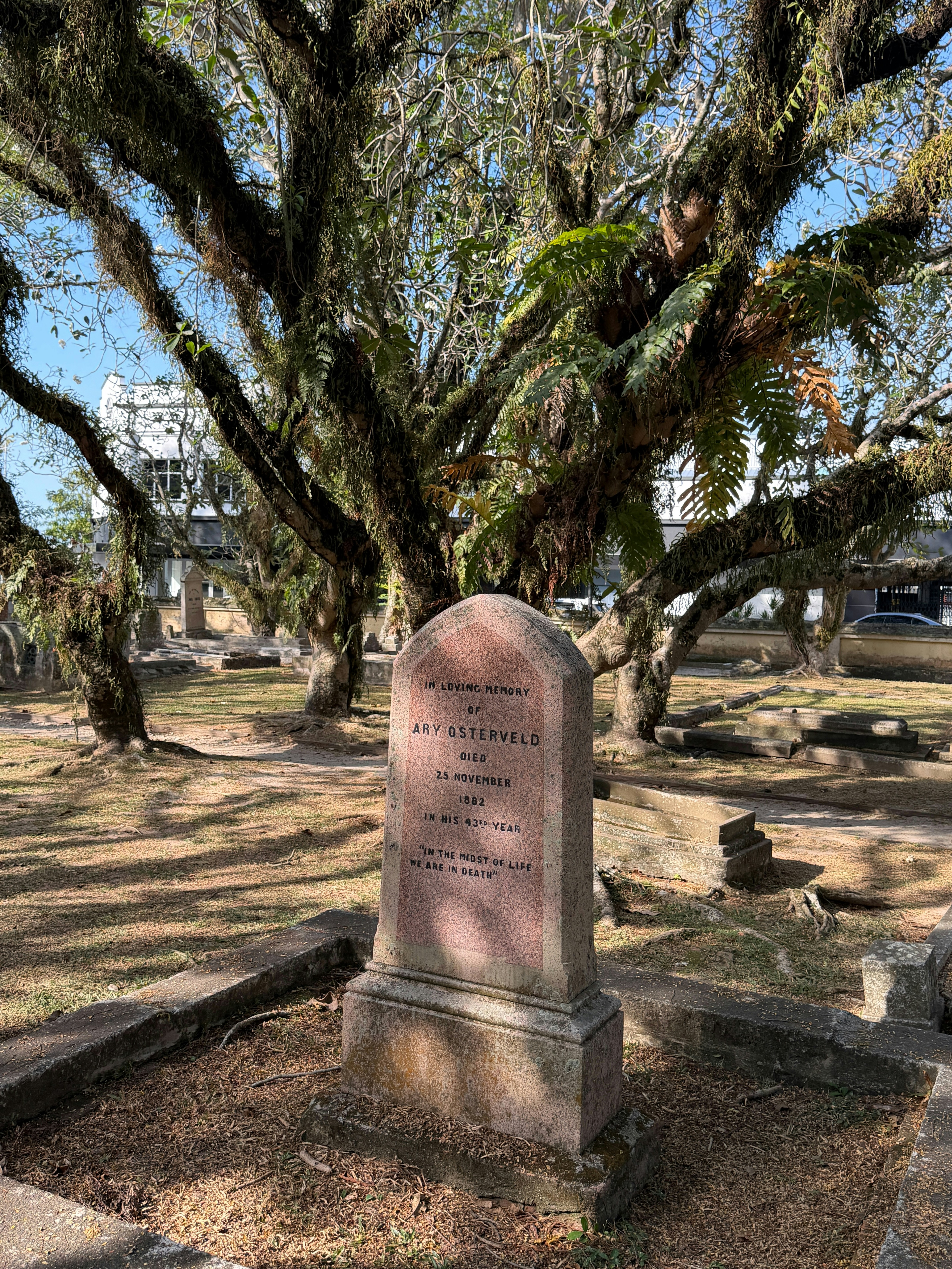 Photo by tomasrobertson