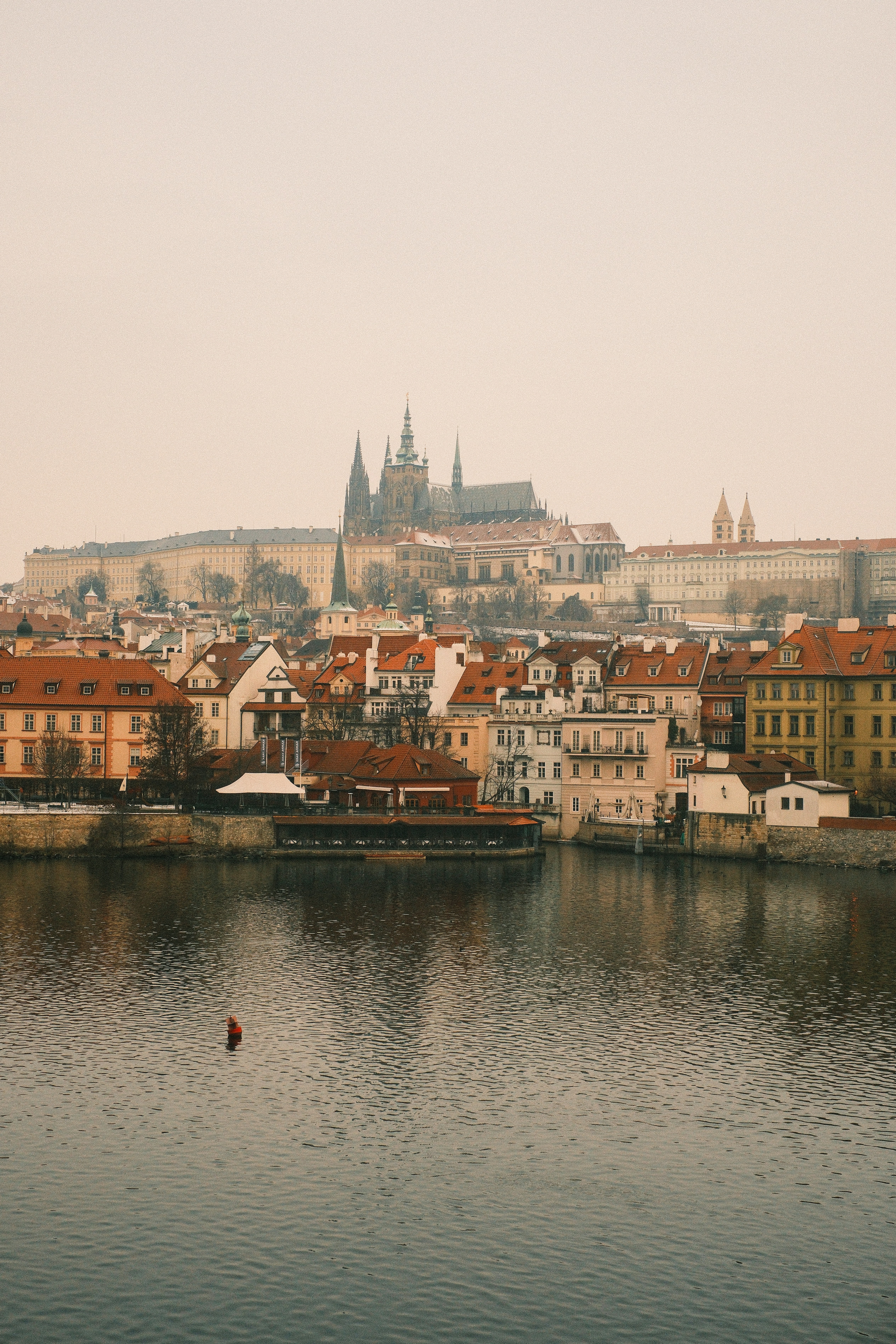 Photo by ginkgoshutter