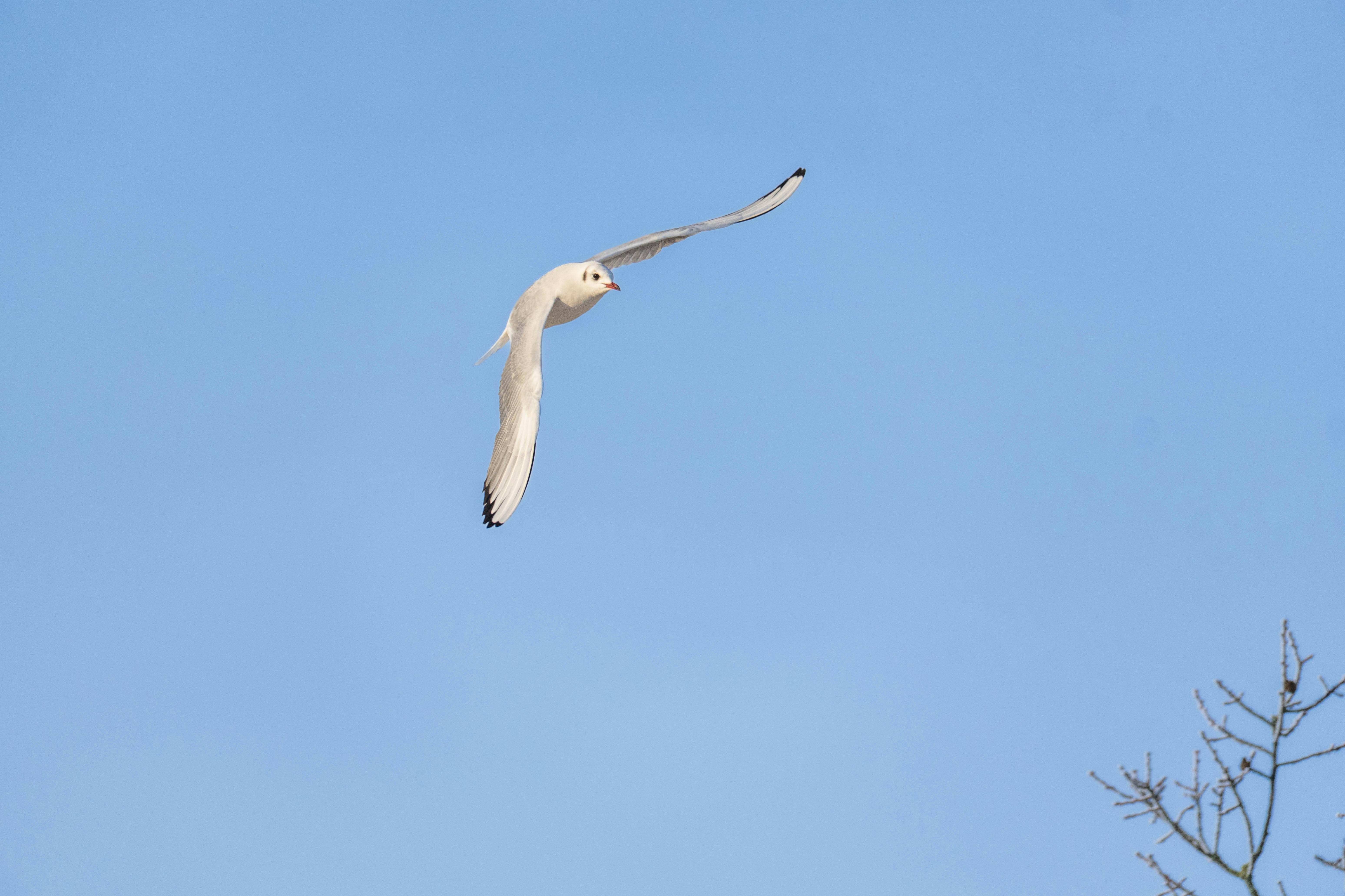 Photo by storiesbybrvn