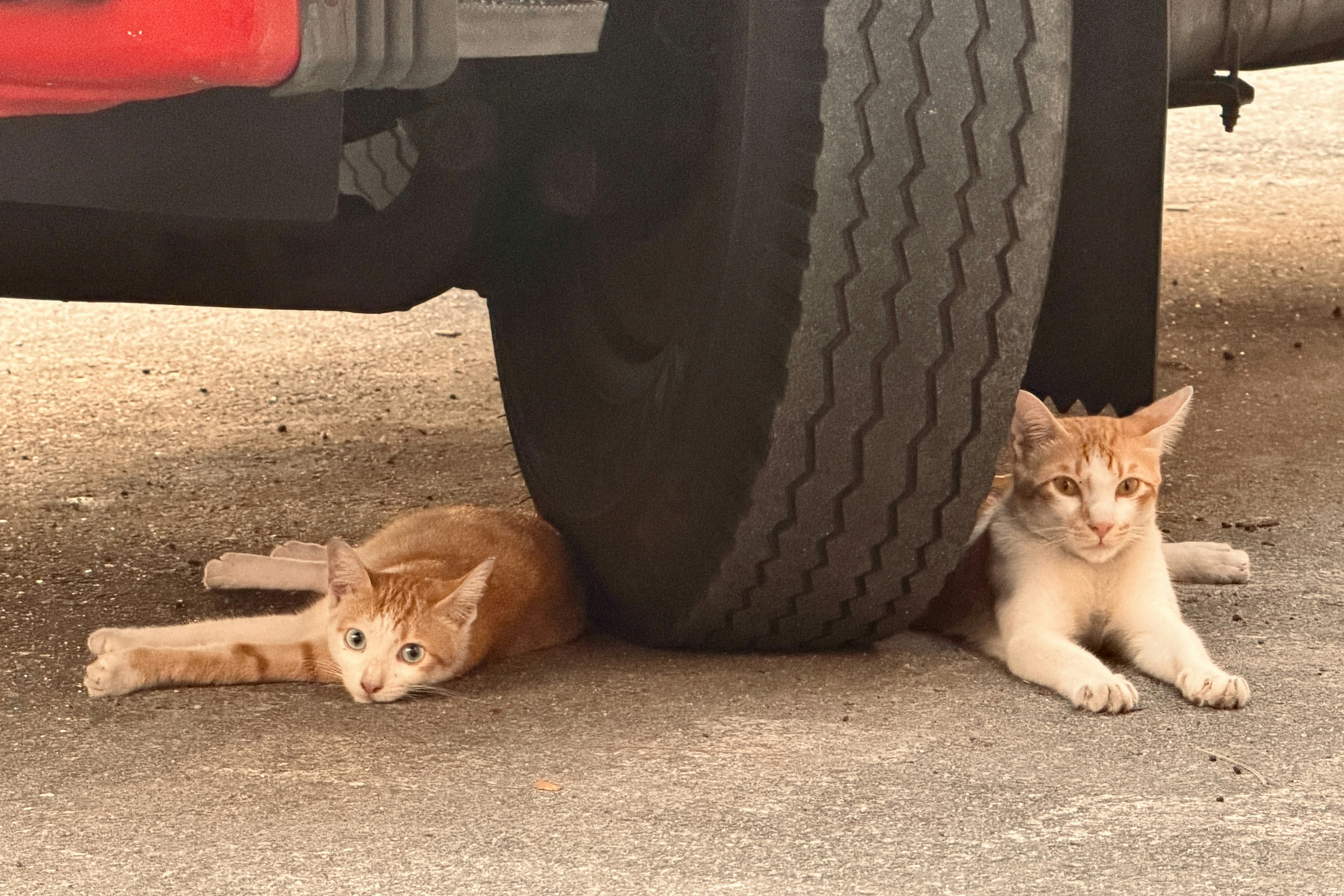 SIEM vs XDR: 75% teams face alert fatigue