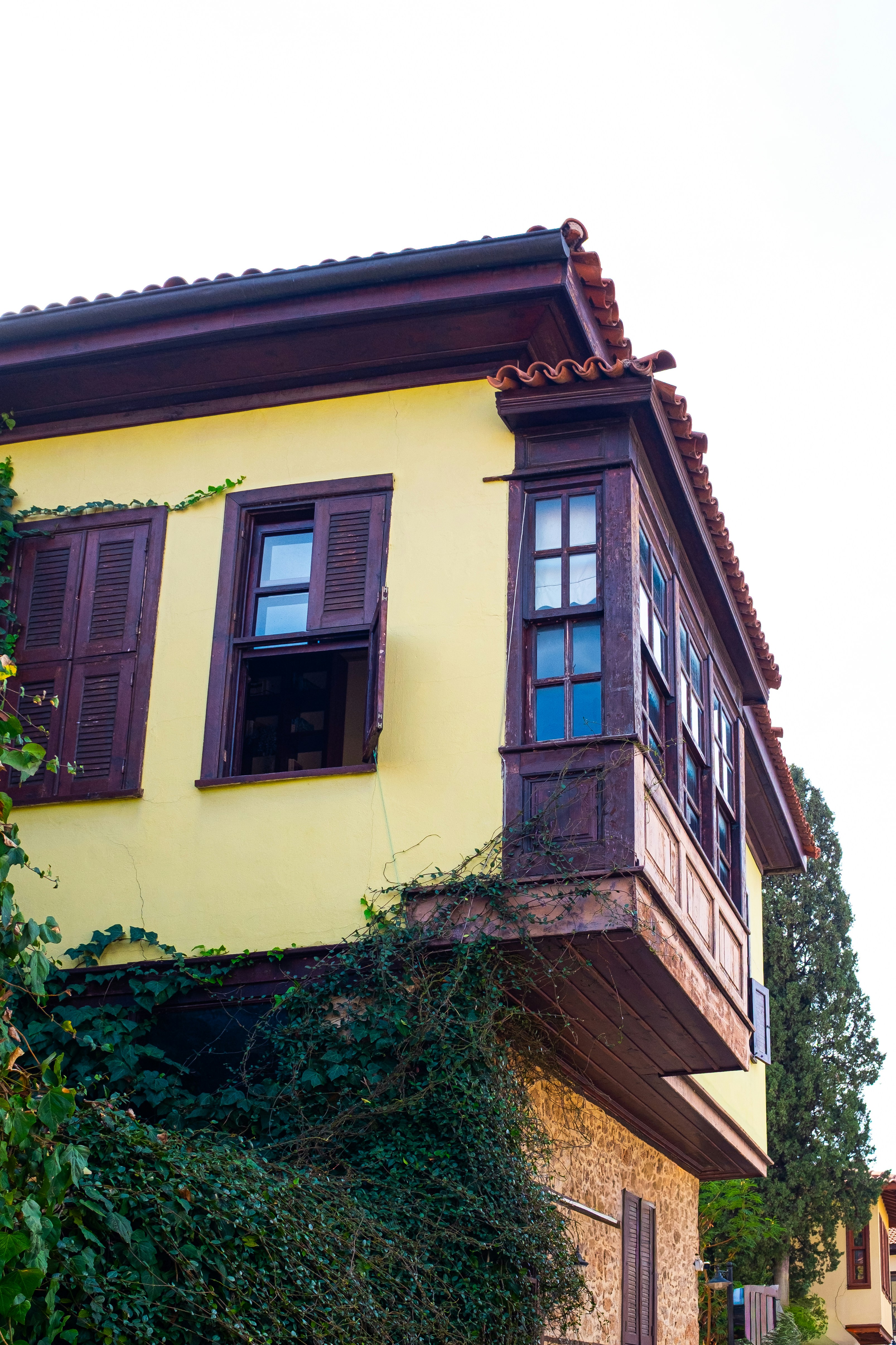 Photo by oldsoulframes