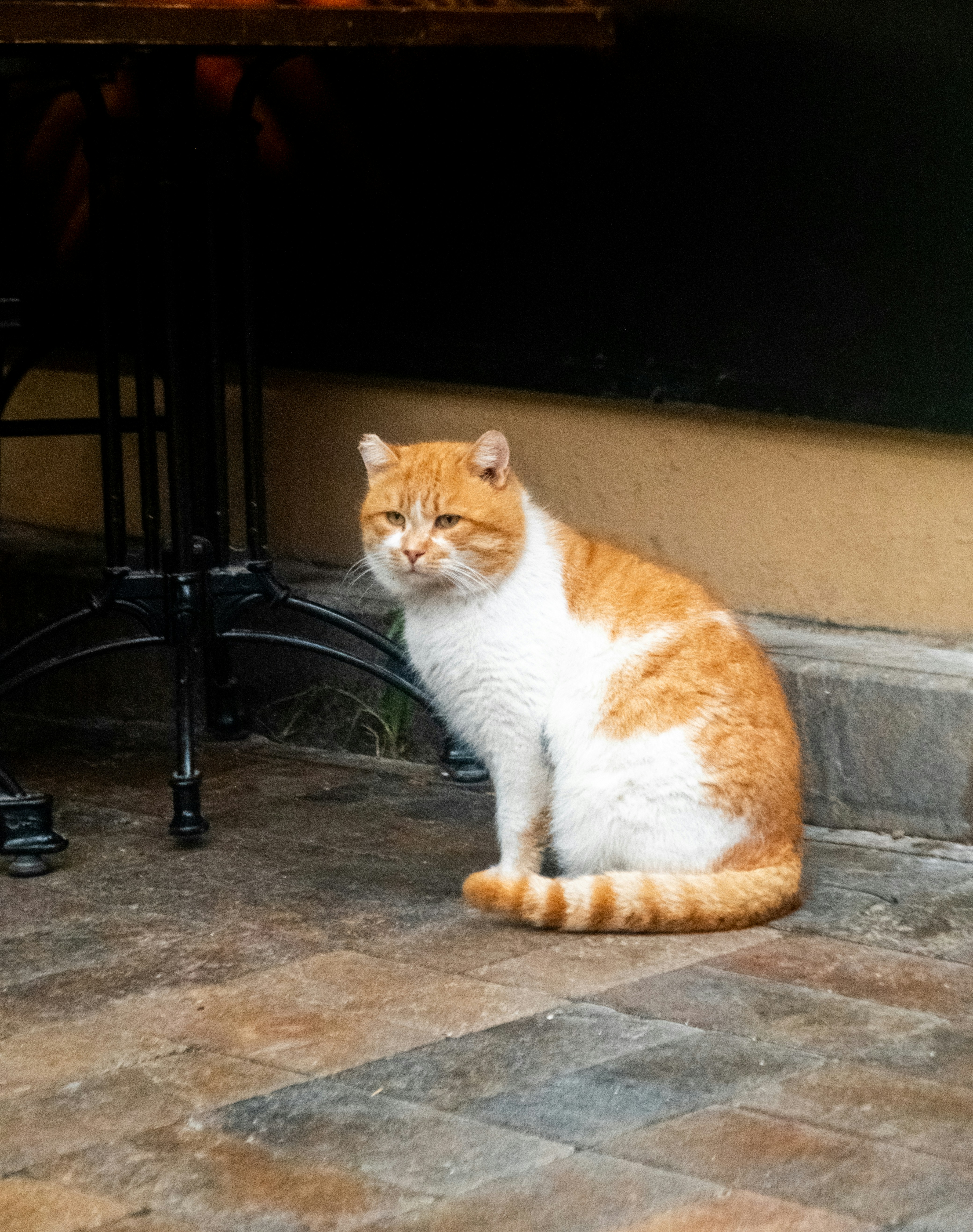 Photo by oldsoulframes