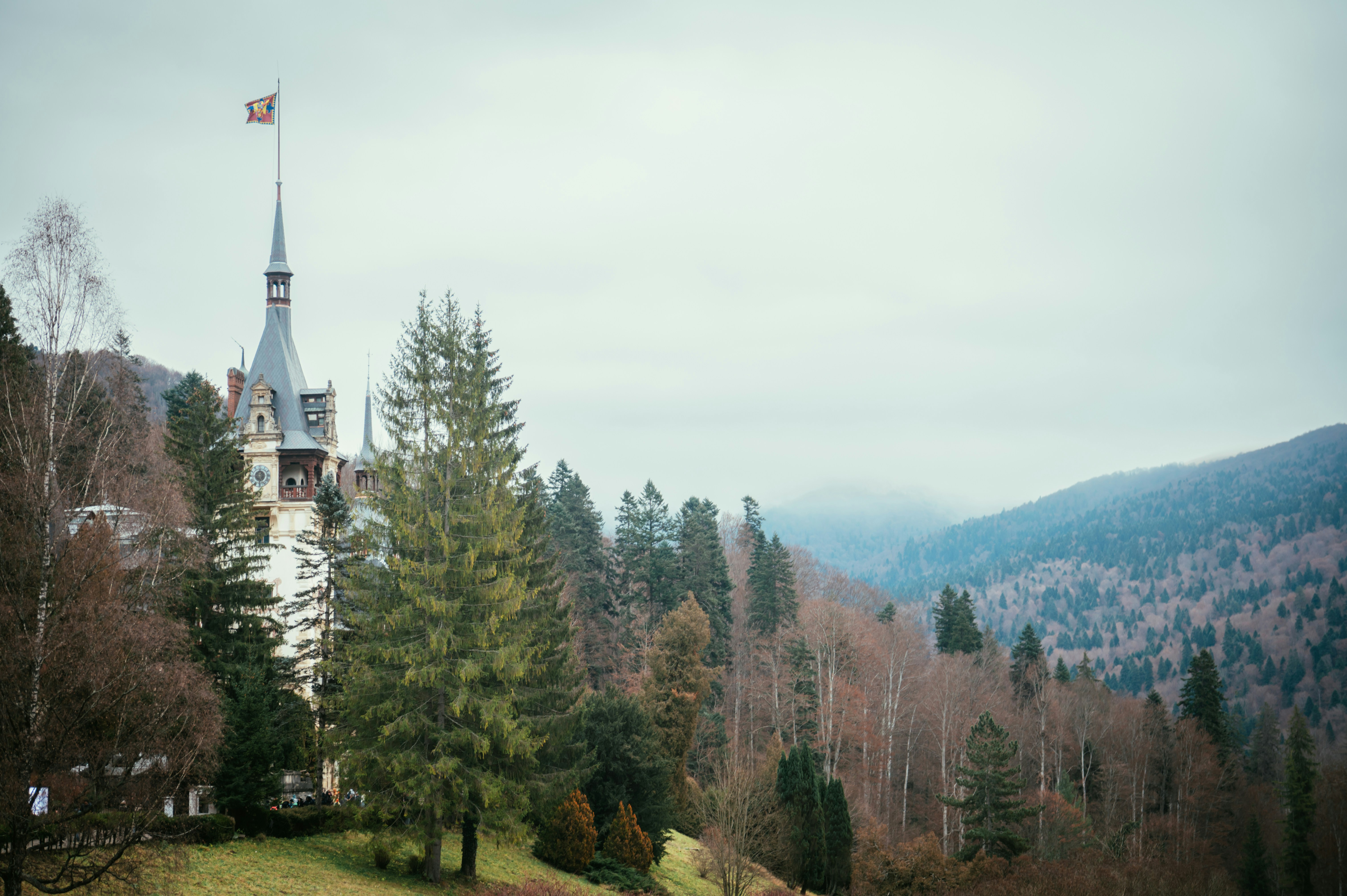 Castle nestled in a forest with rolling hills.
