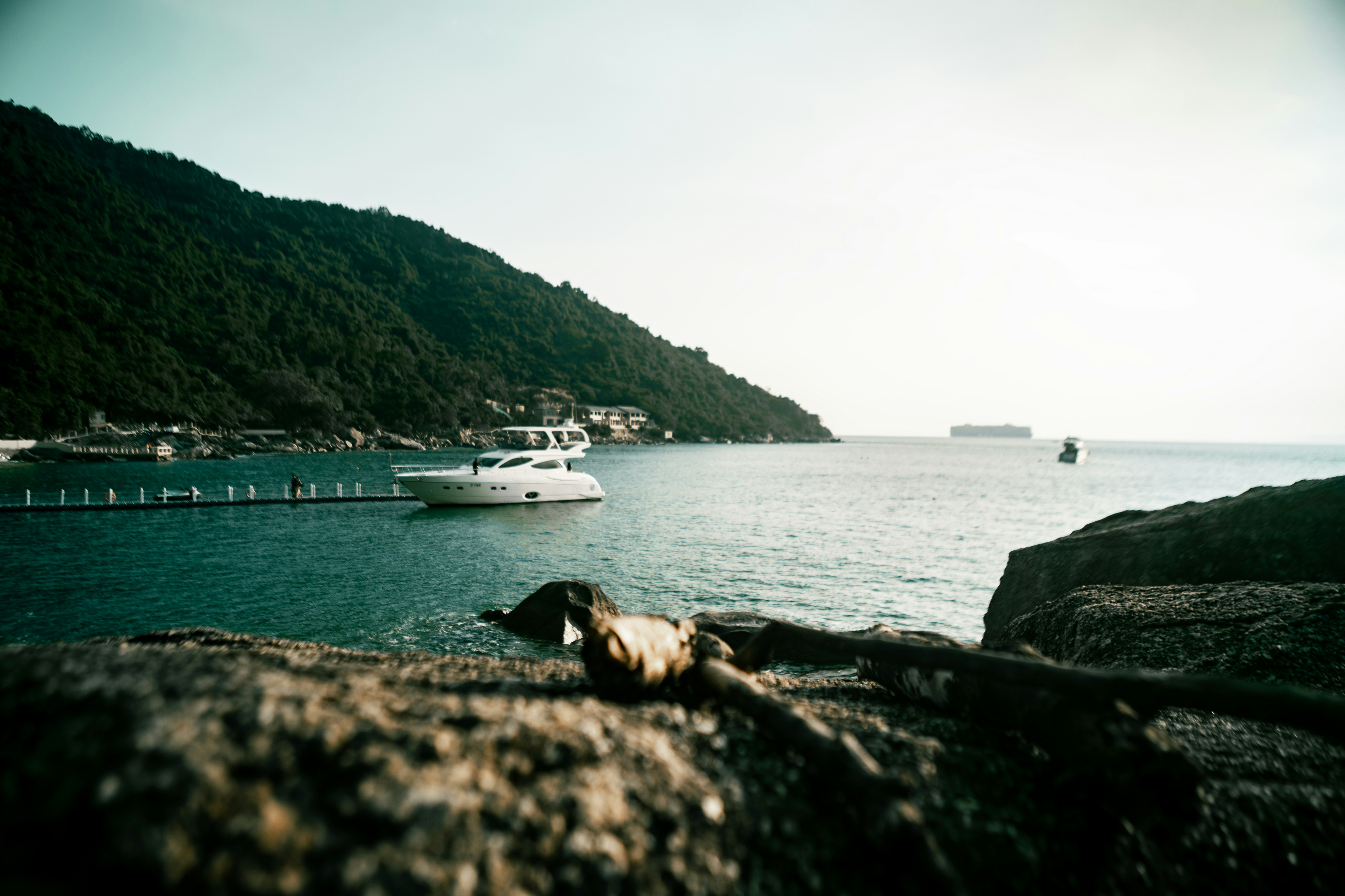 Photo by bright202310