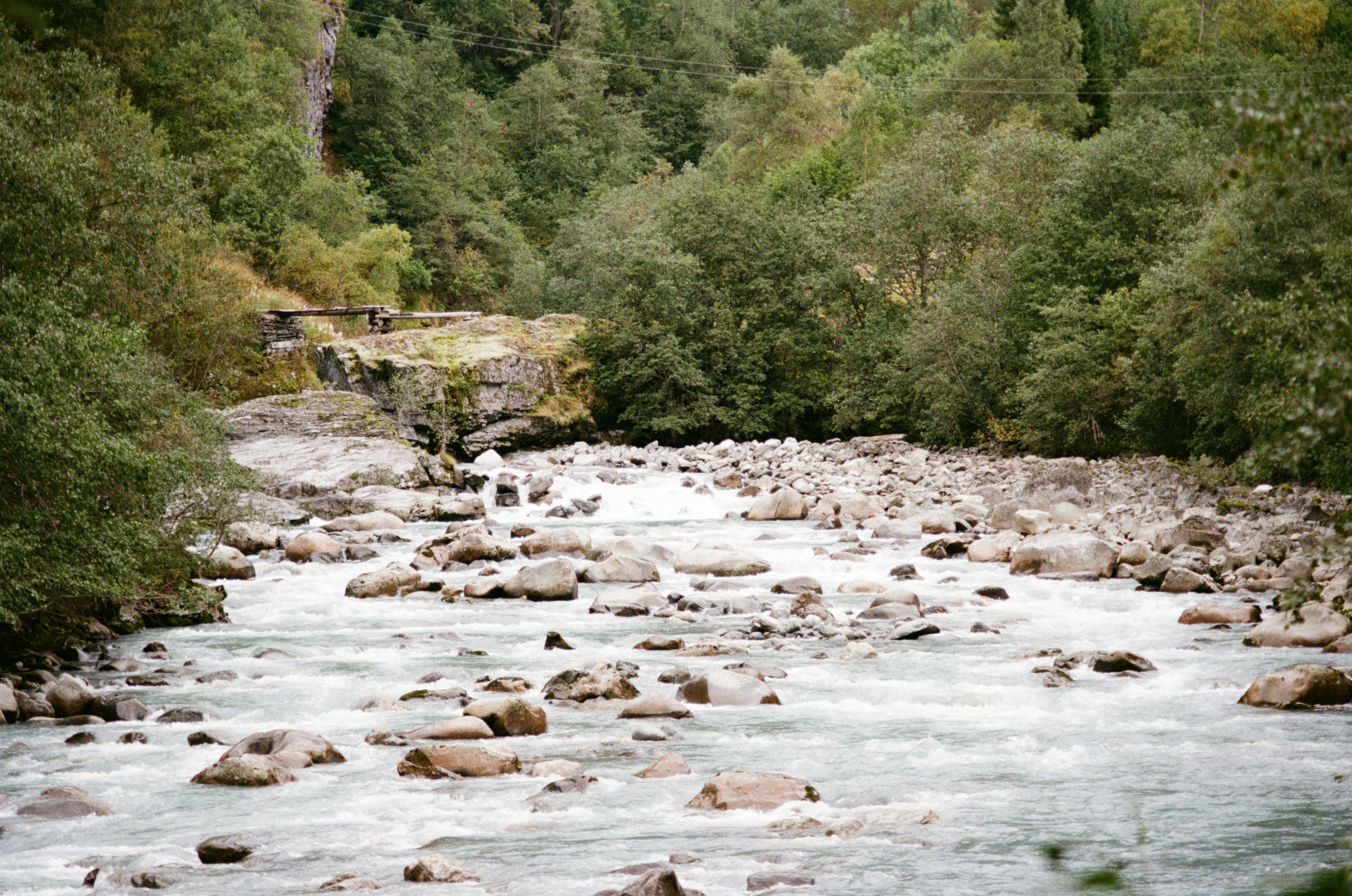 Photo by bernhardbar