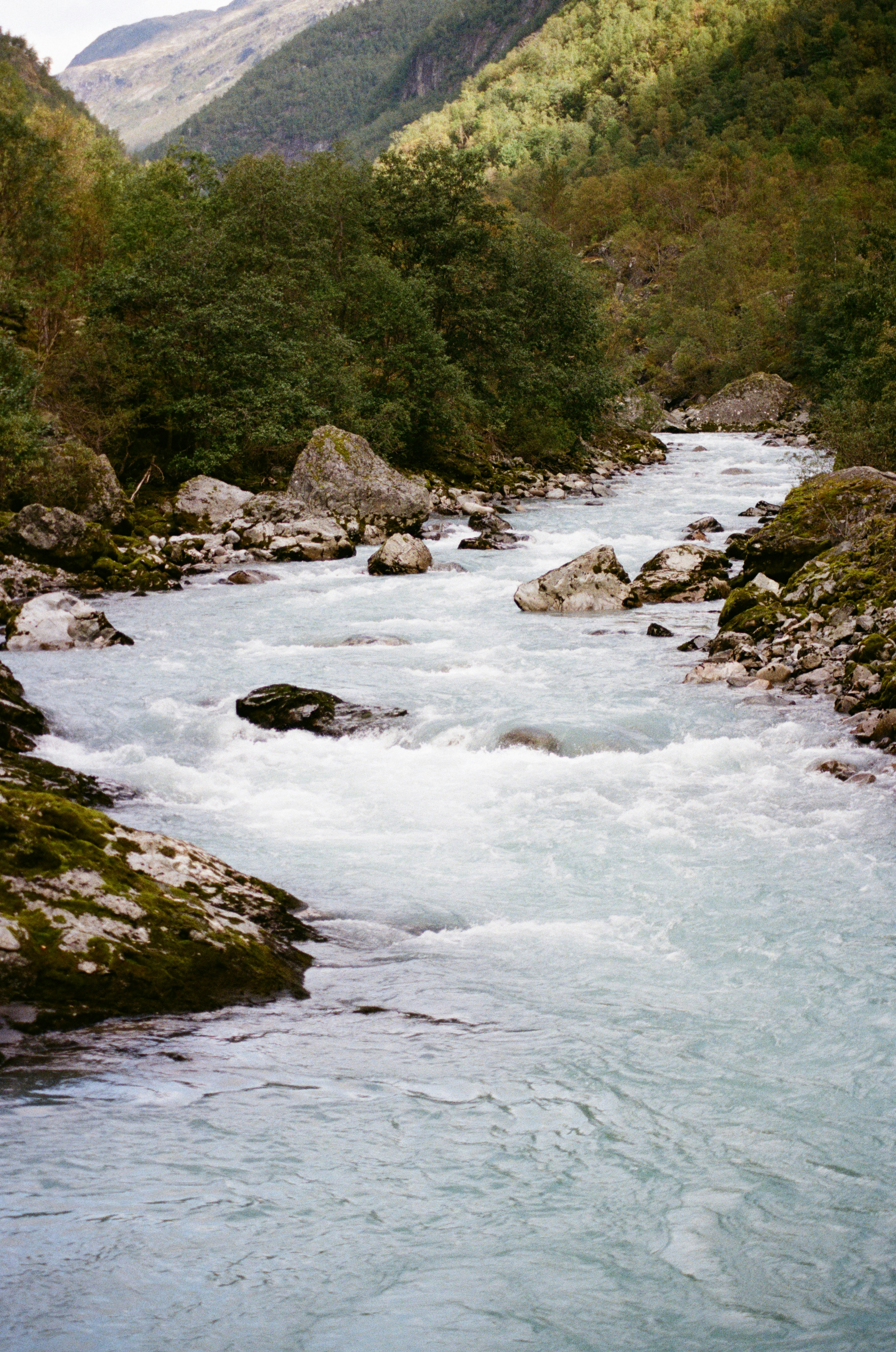 Photo by bernhardbar