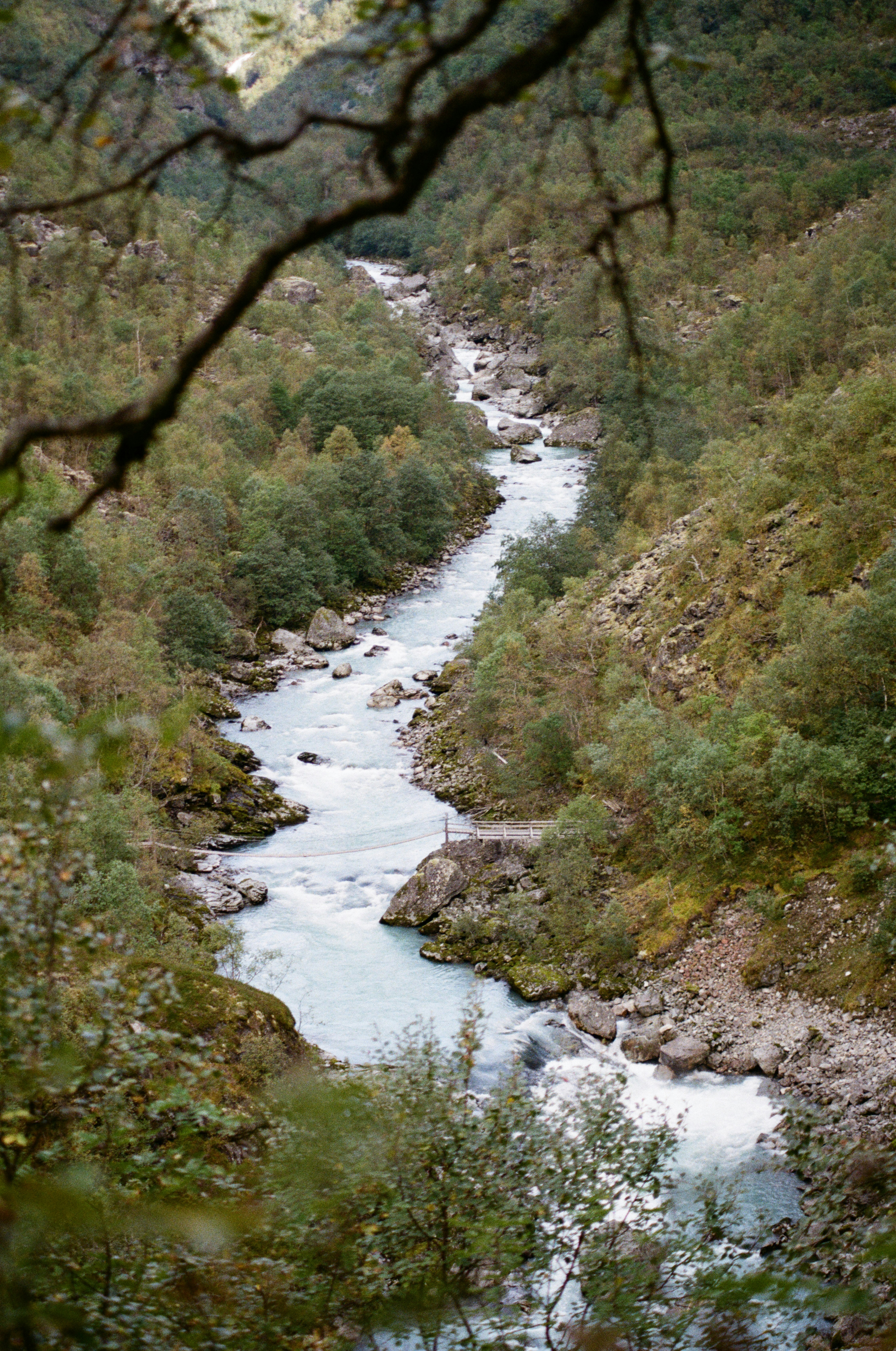 Pješački most Tara
