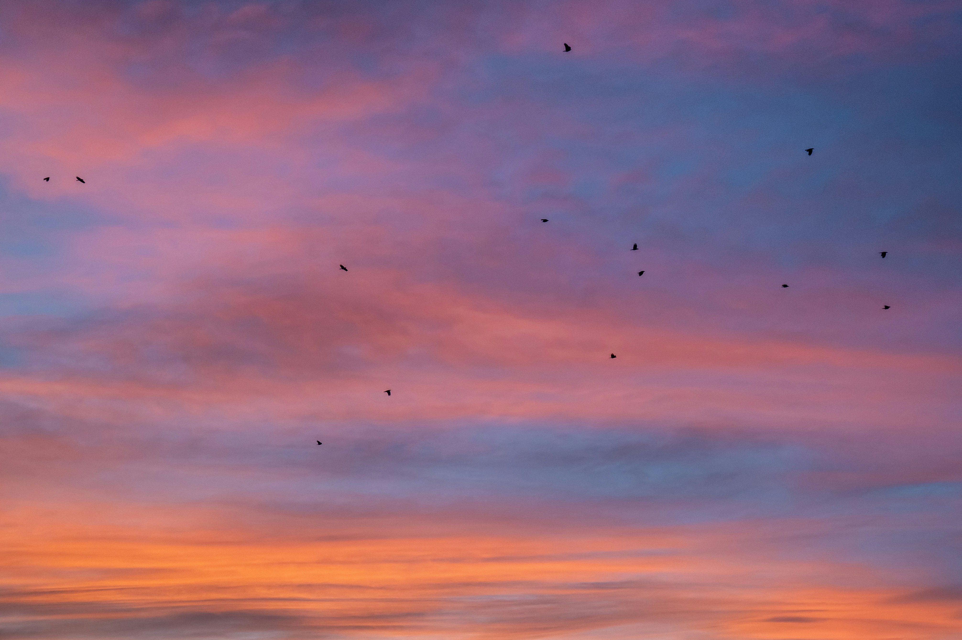 Photo by stavrialena