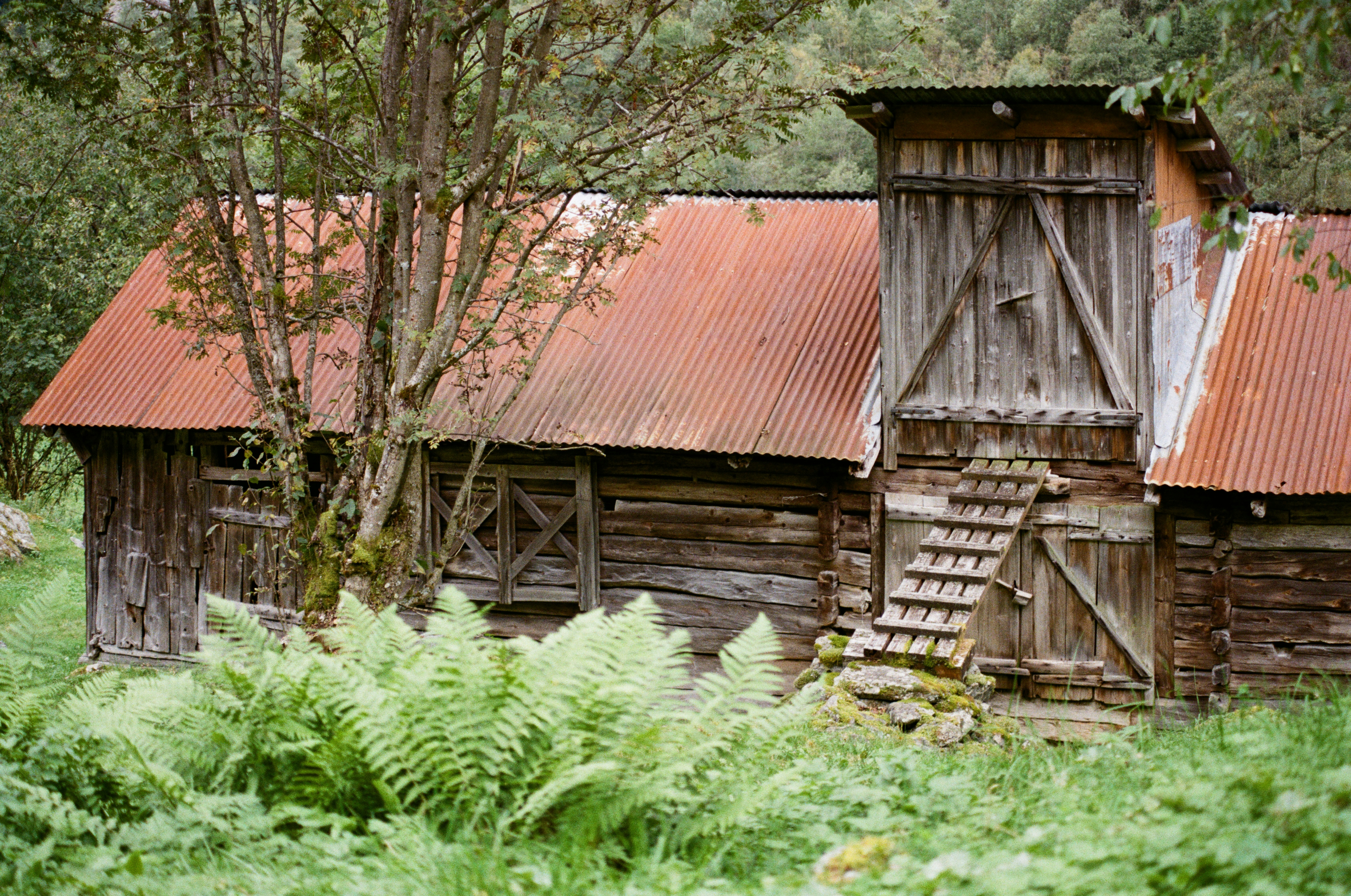 Photo by bernhardbar